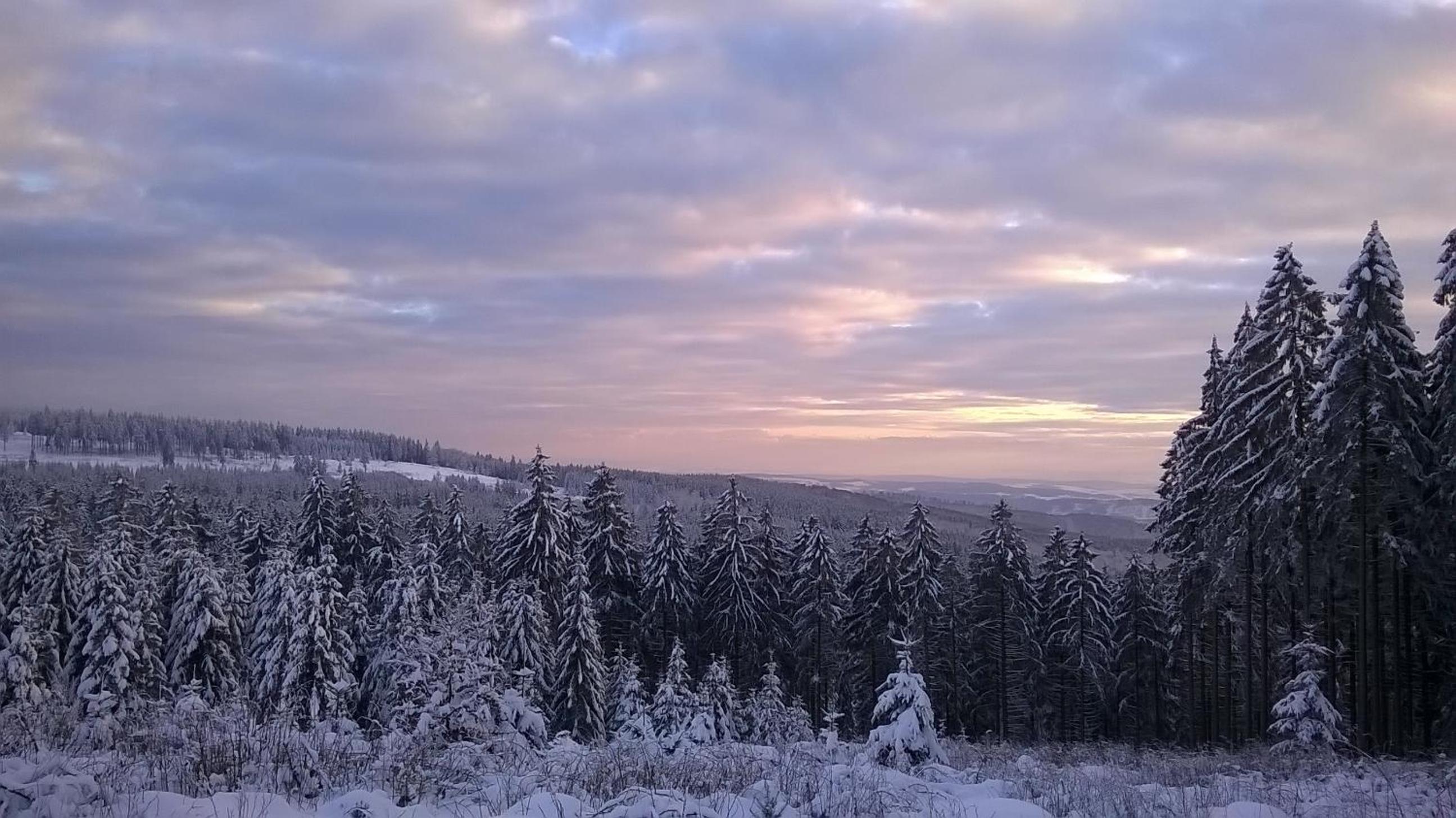 Waldpension Harzer Waldwinkel