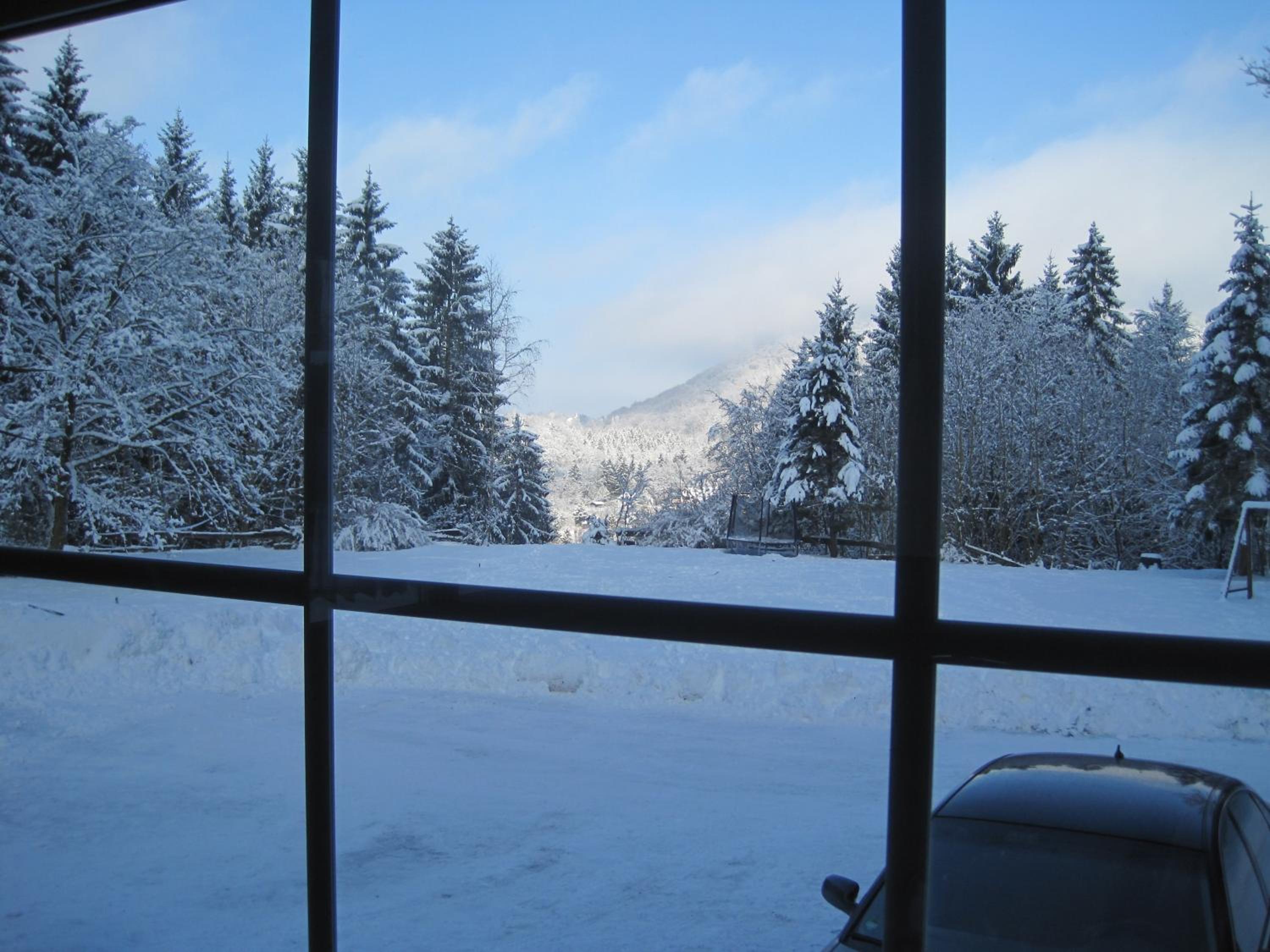 Waldpension Harzer Waldwinkel