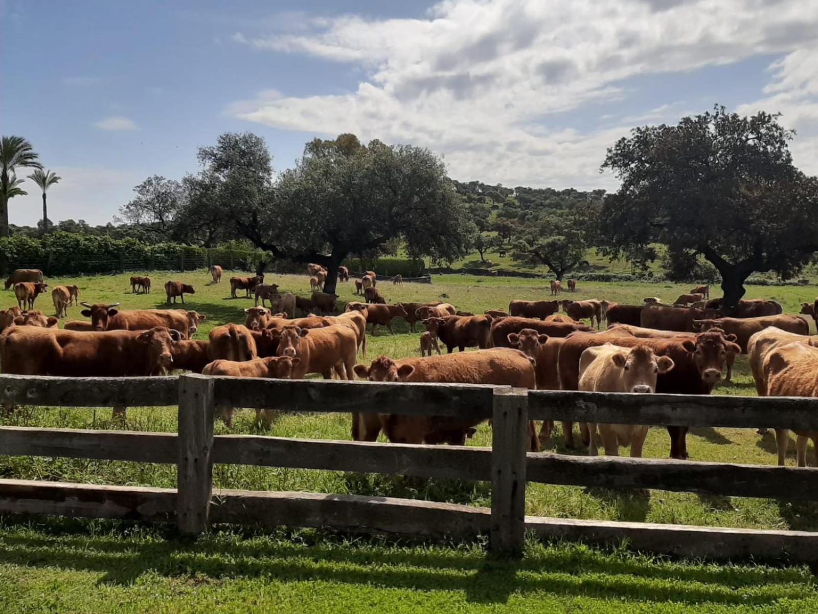Alojamiento Rural Finca Barral