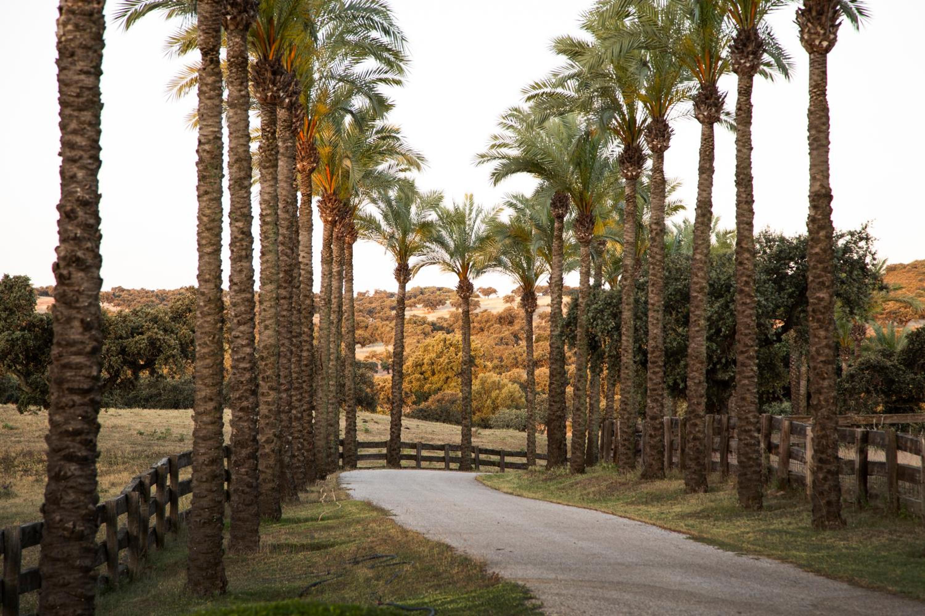 Alojamiento Rural Finca Barral