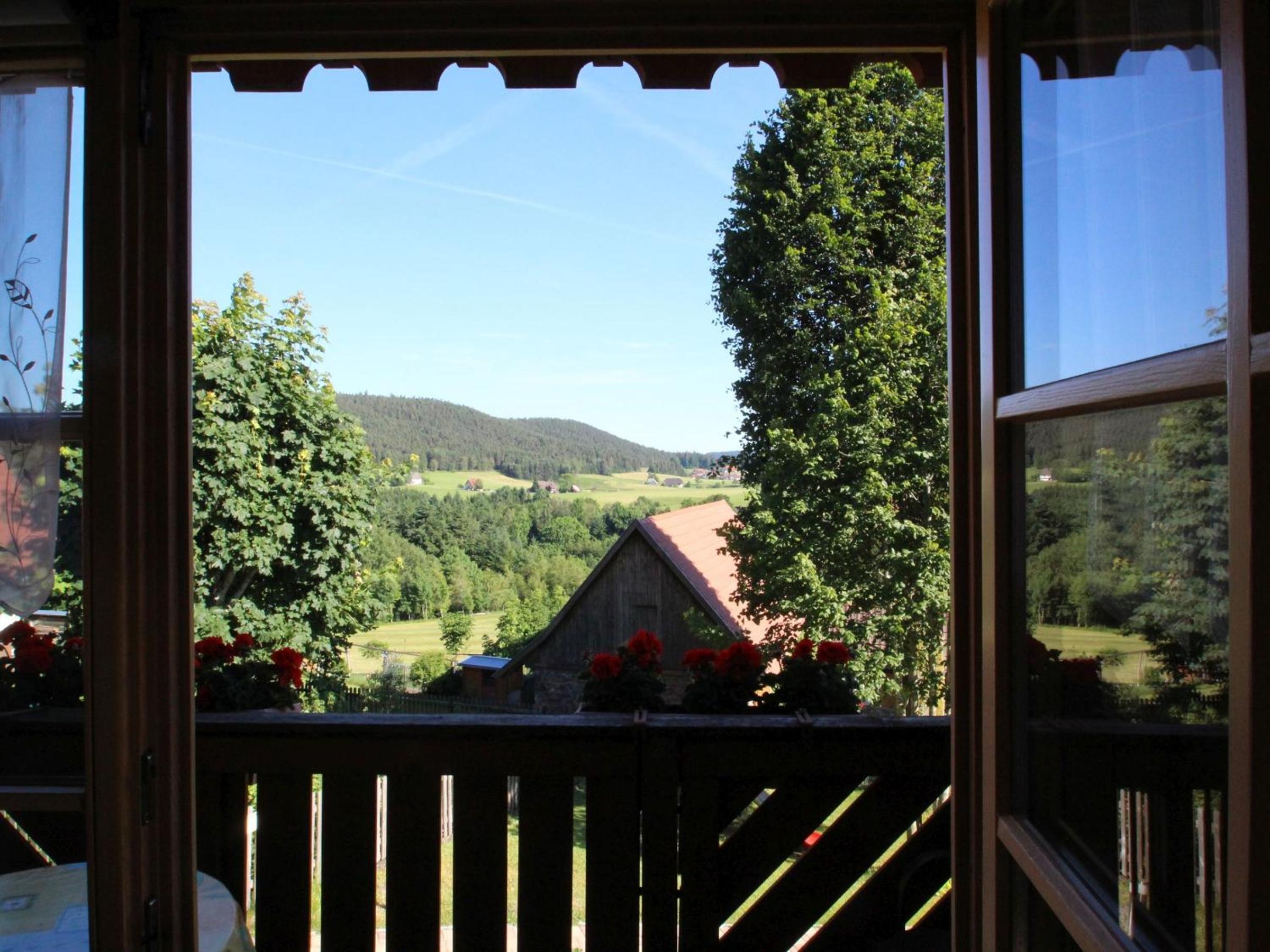 Photo 26