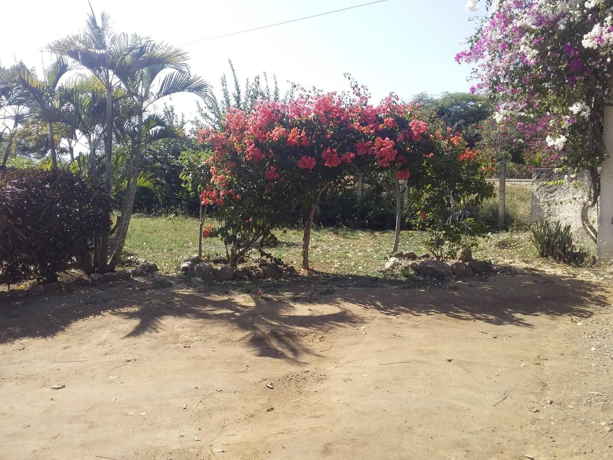 Cabaa De Descanso, Isla De Bar - Cartagena - Rest Cabin, Baru Island -Bolivar