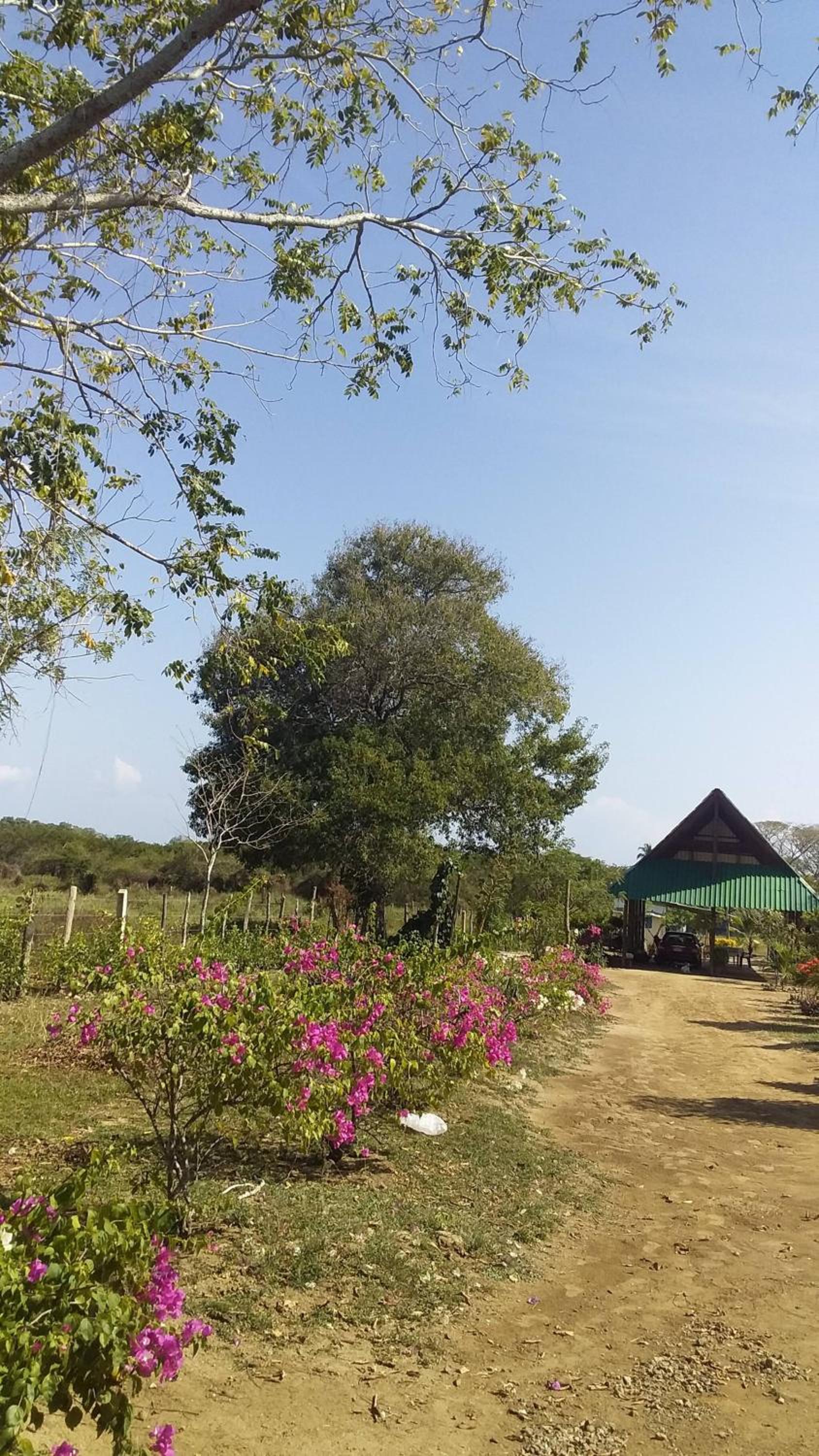 Cabaa De Descanso, Isla De Bar - Cartagena - Rest Cabin, Baru Island -Bolivar