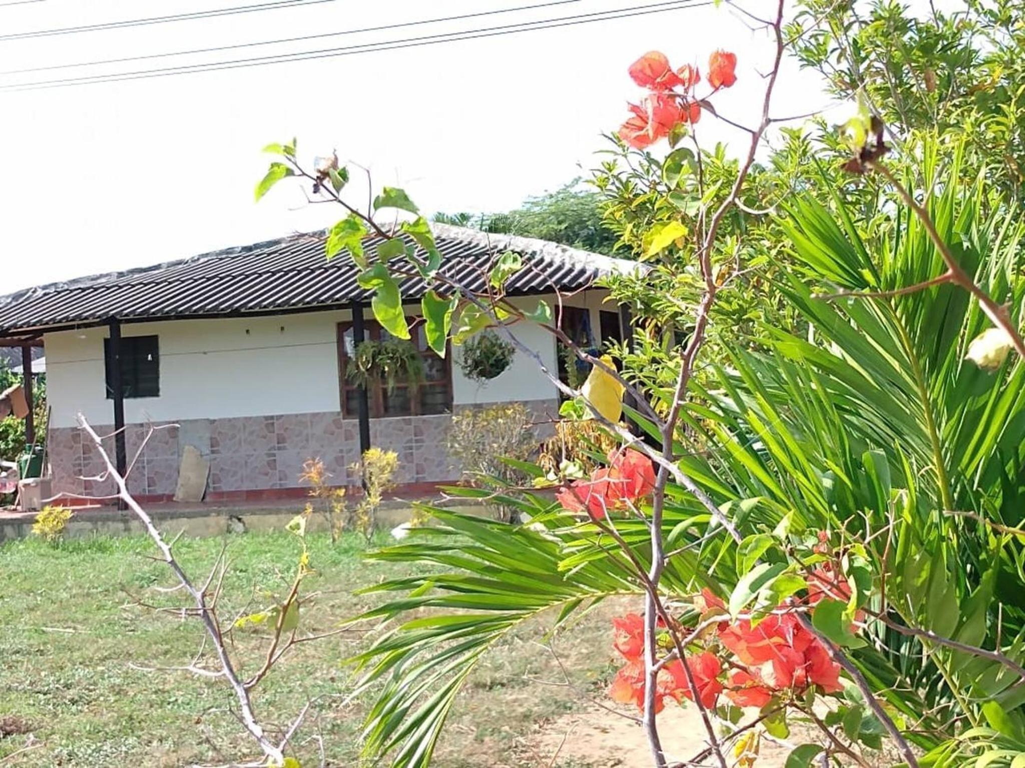 Cabaa De Descanso, Isla De Bar - Cartagena - Rest Cabin, Baru Island -Bolivar