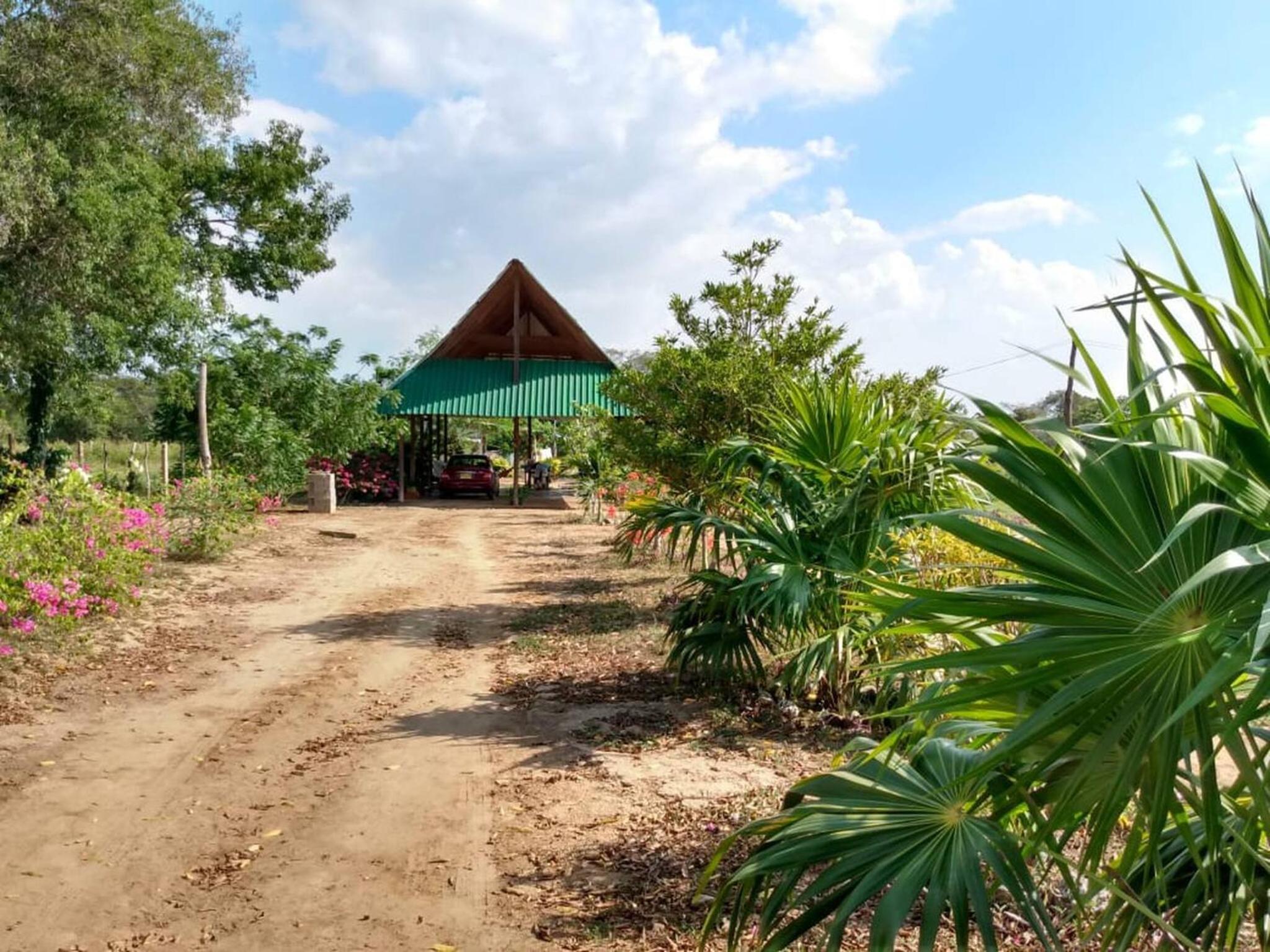 Cabaa De Descanso, Isla De Bar - Cartagena - Rest Cabin, Baru Island -Bolivar