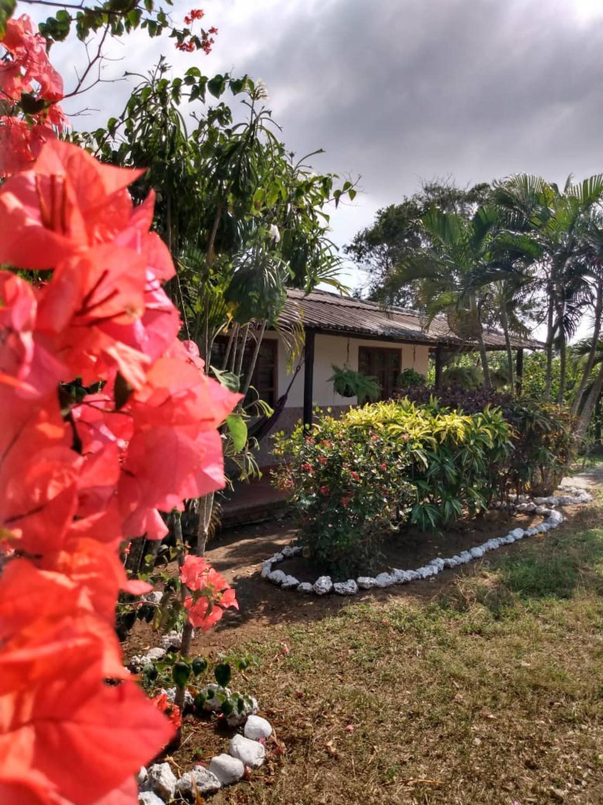 Cabaa De Descanso, Isla De Bar - Cartagena - Rest Cabin, Baru Island -Bolivar