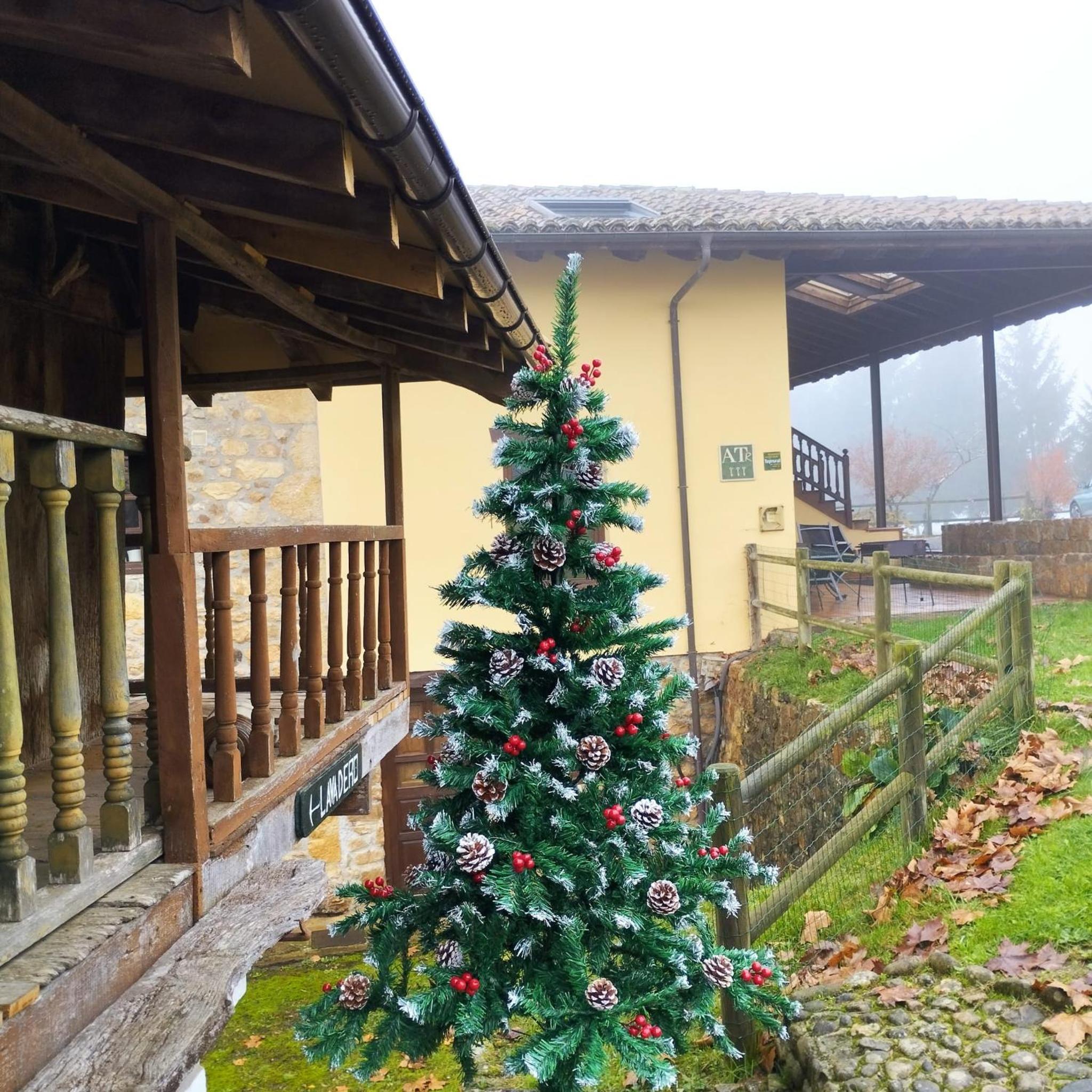 Photo 12