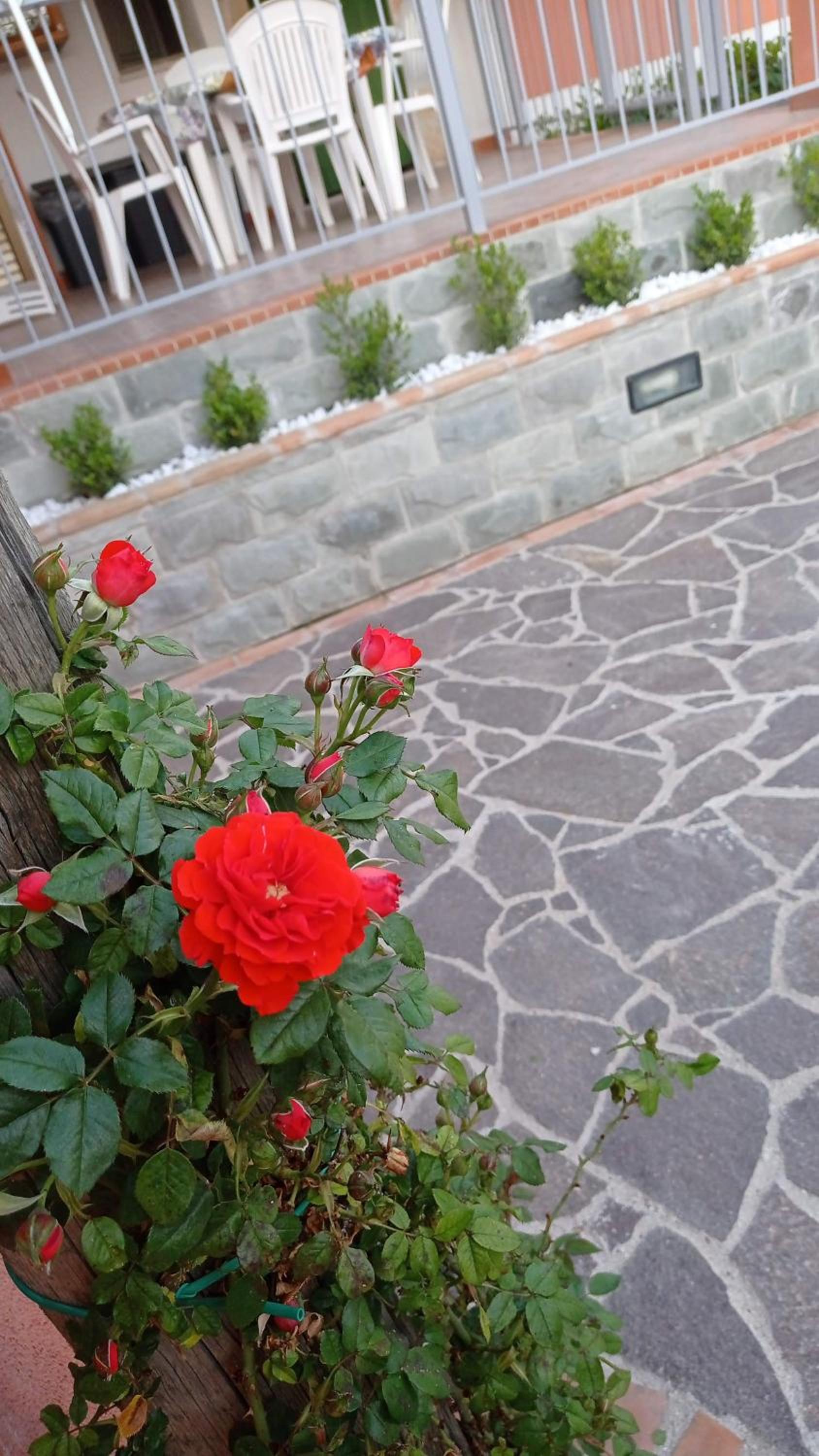 Casa Vacanze Mimose