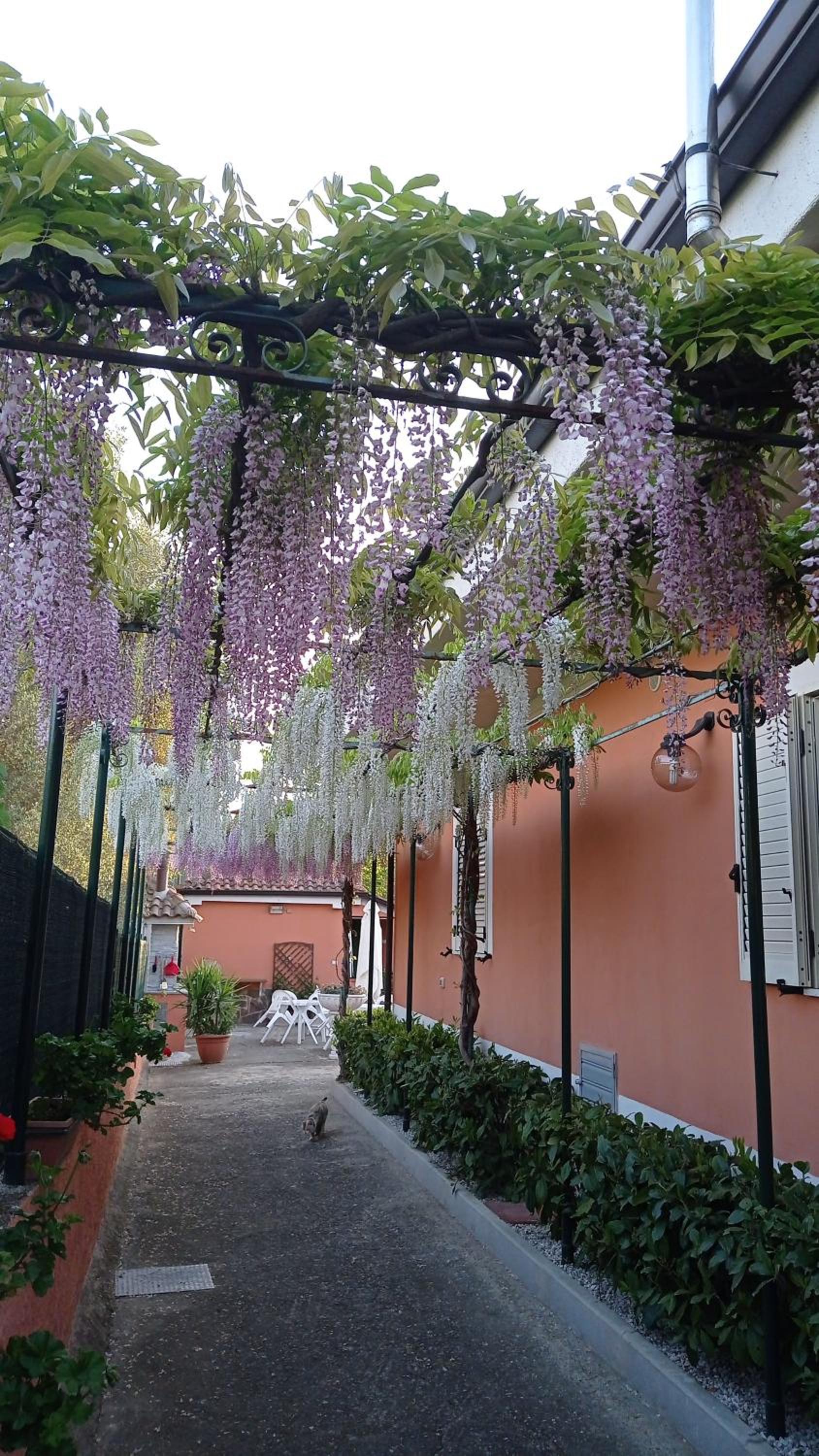 Casa Vacanze Mimose