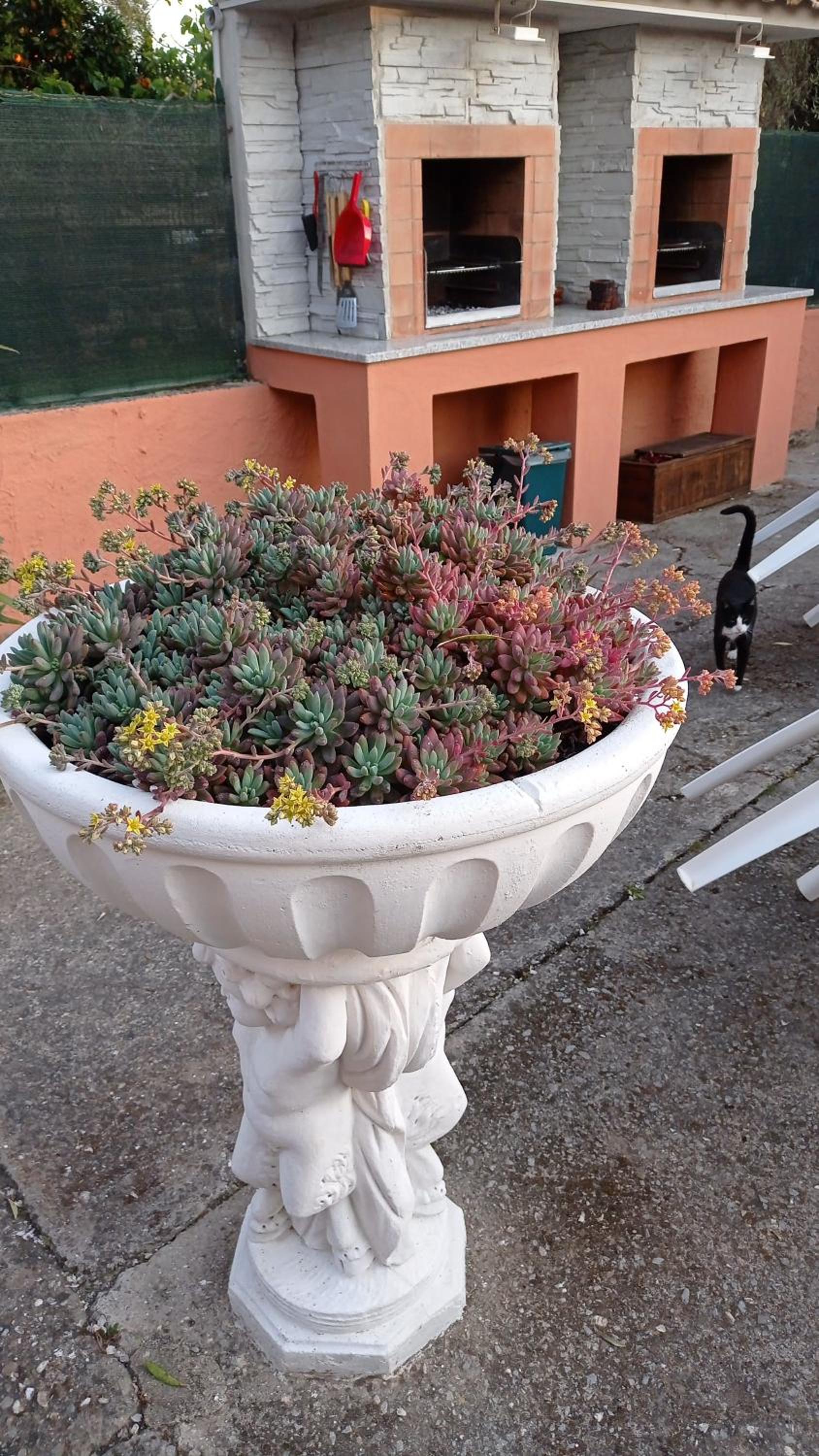 Casa Vacanze Mimose