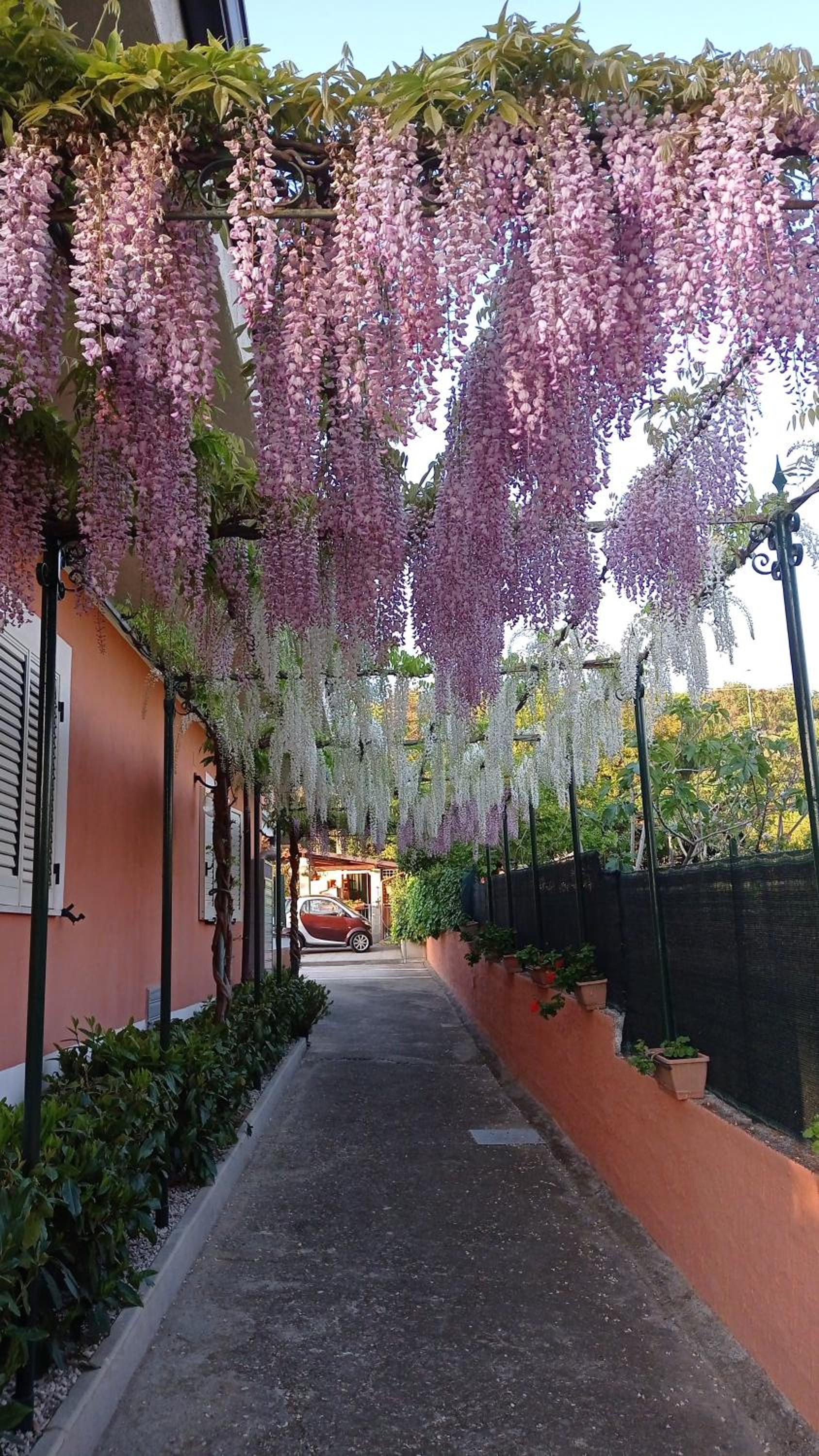 Casa Vacanze Mimose