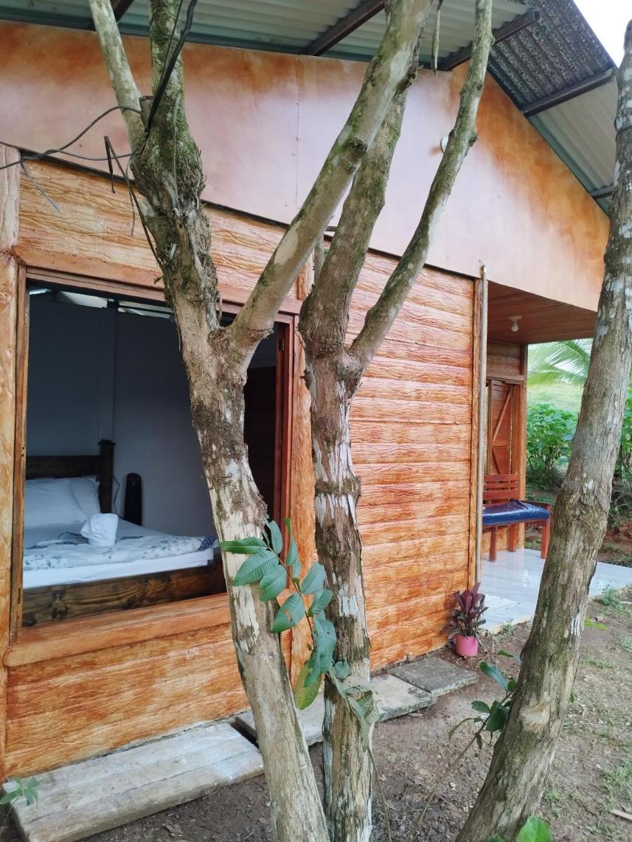 Cabaña Boca Tapada