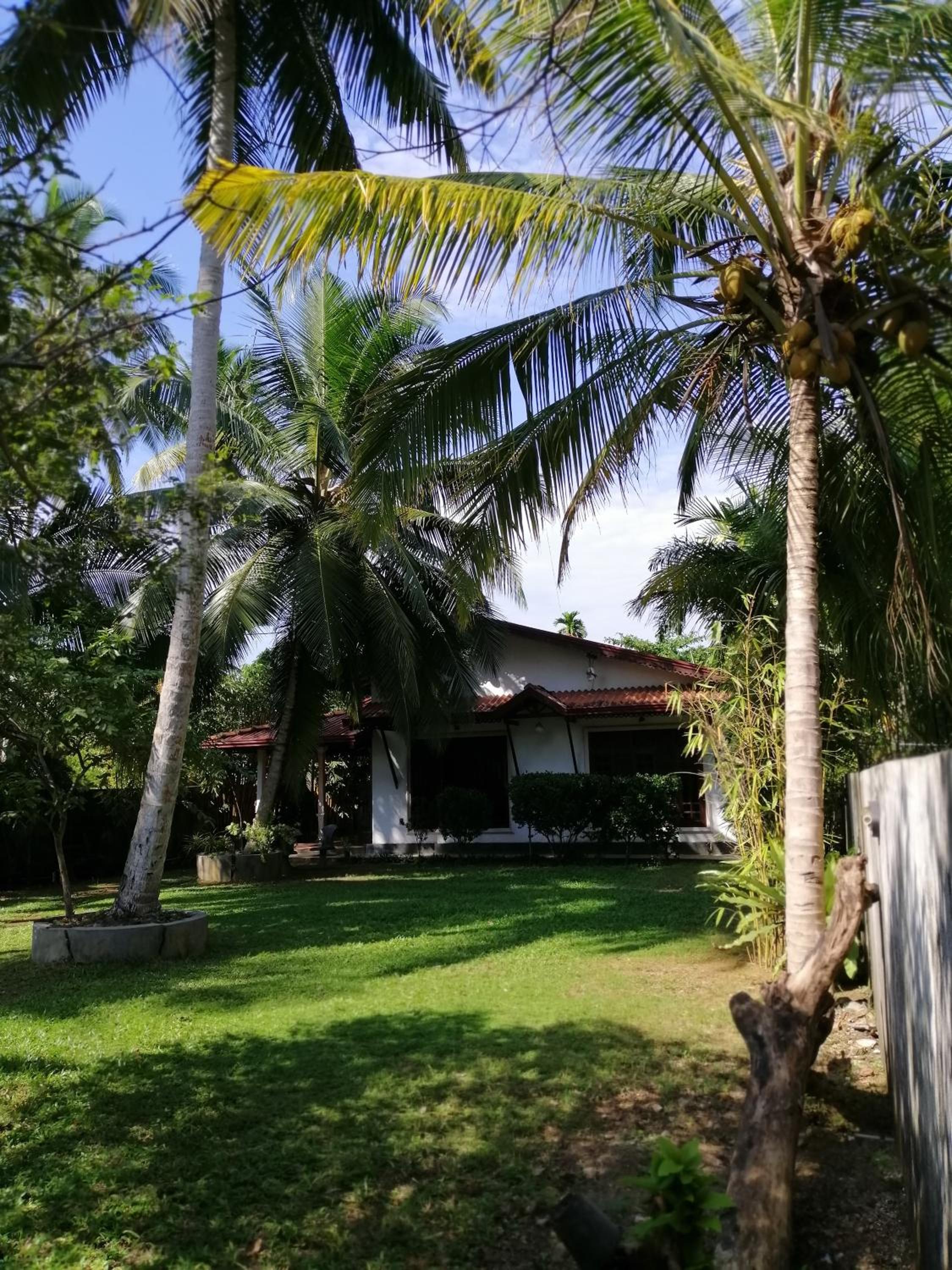 The Madampa Village Side Lodge view 3