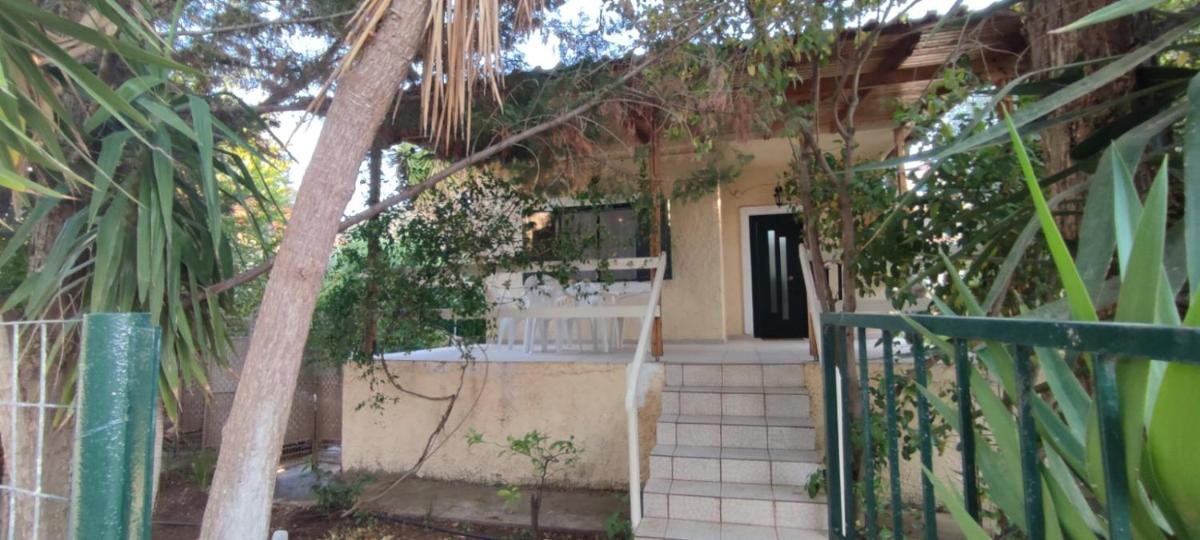 The House of Felix photo 2