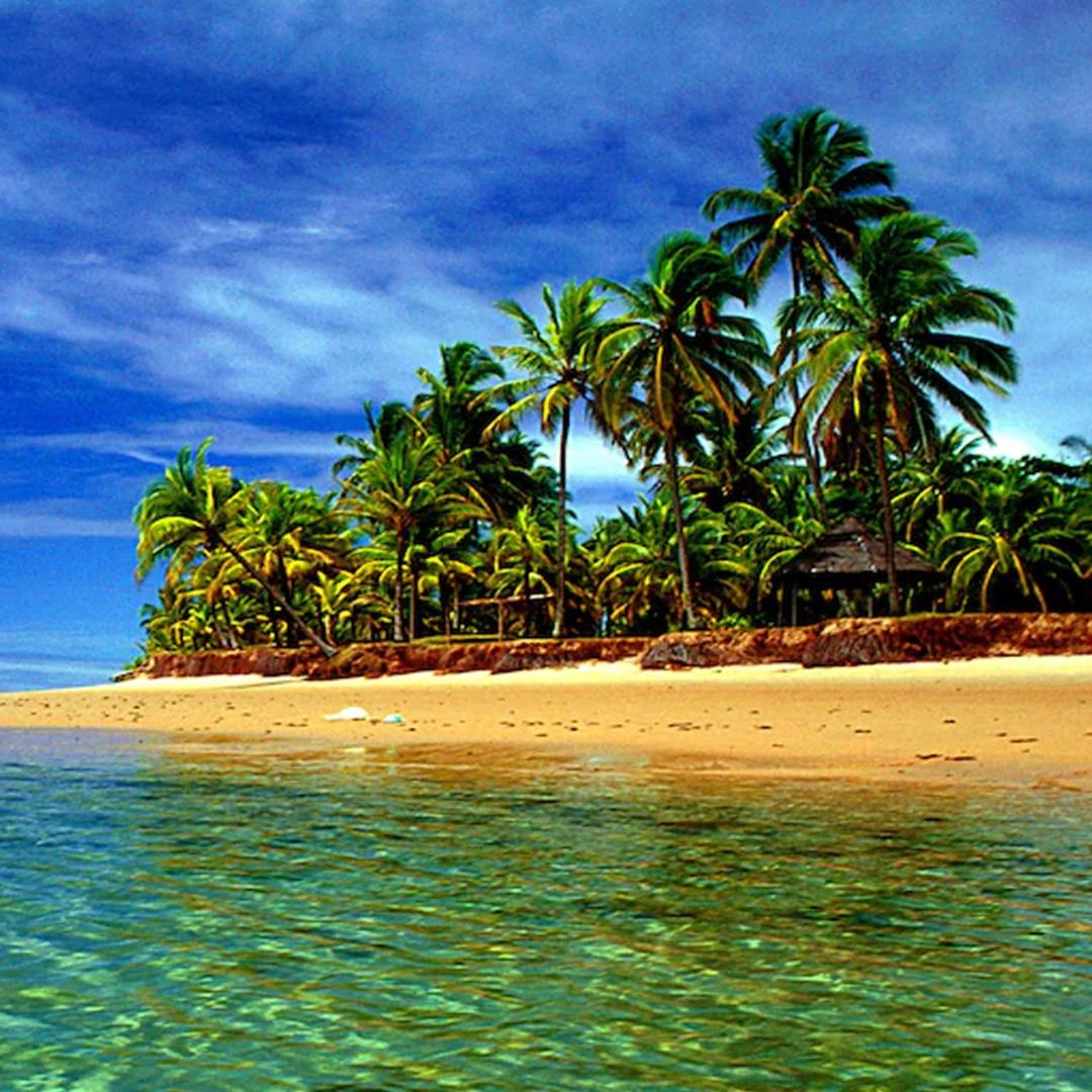 Paraiso do Dende - Barra Grande - Beira Mar