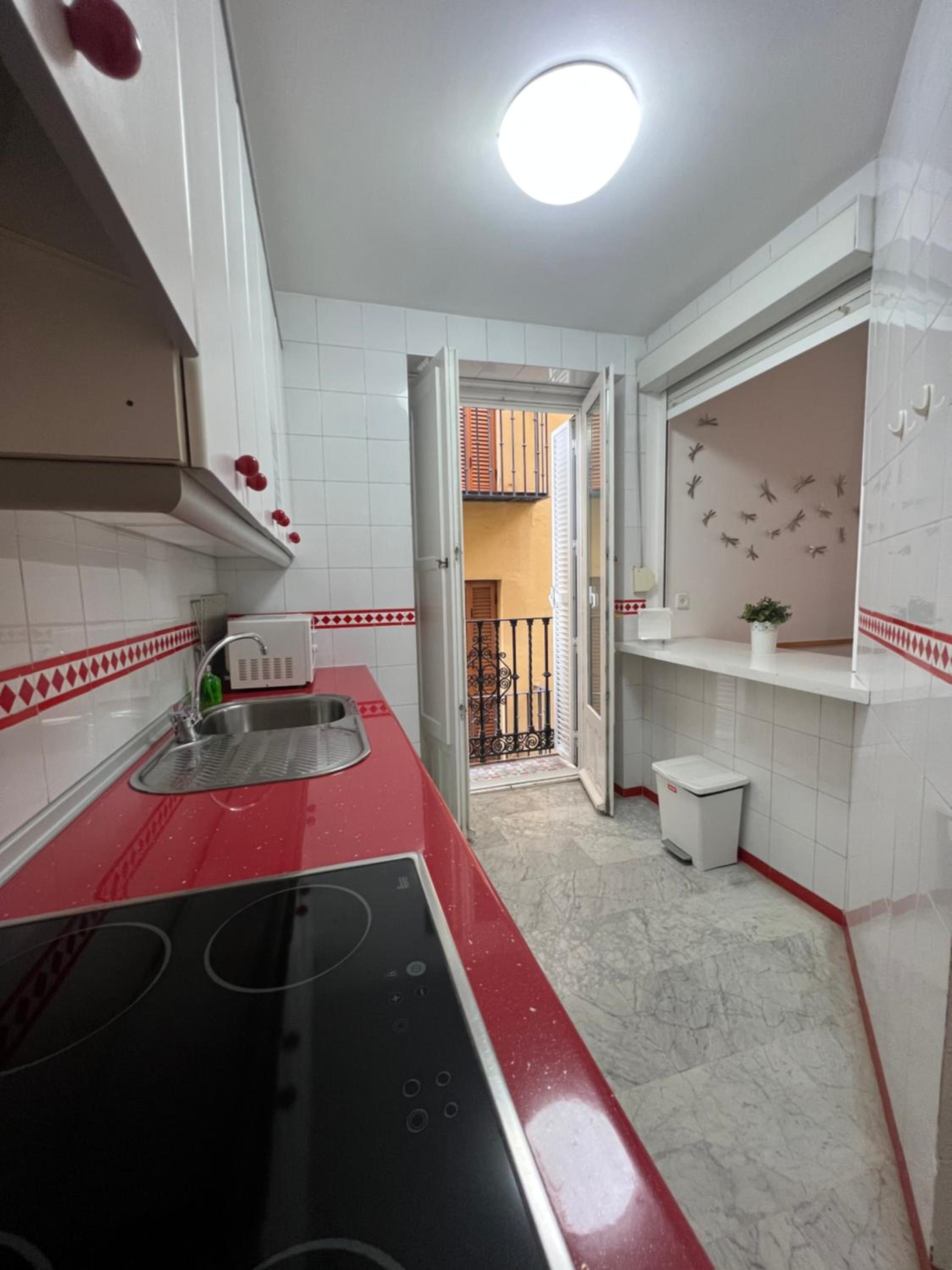 Seville Vacations - Iberflat Fabiola - Property Image 42