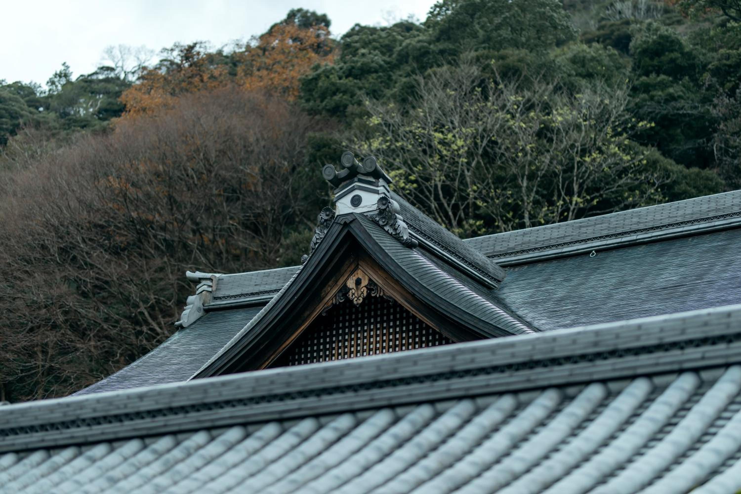 Photo 100