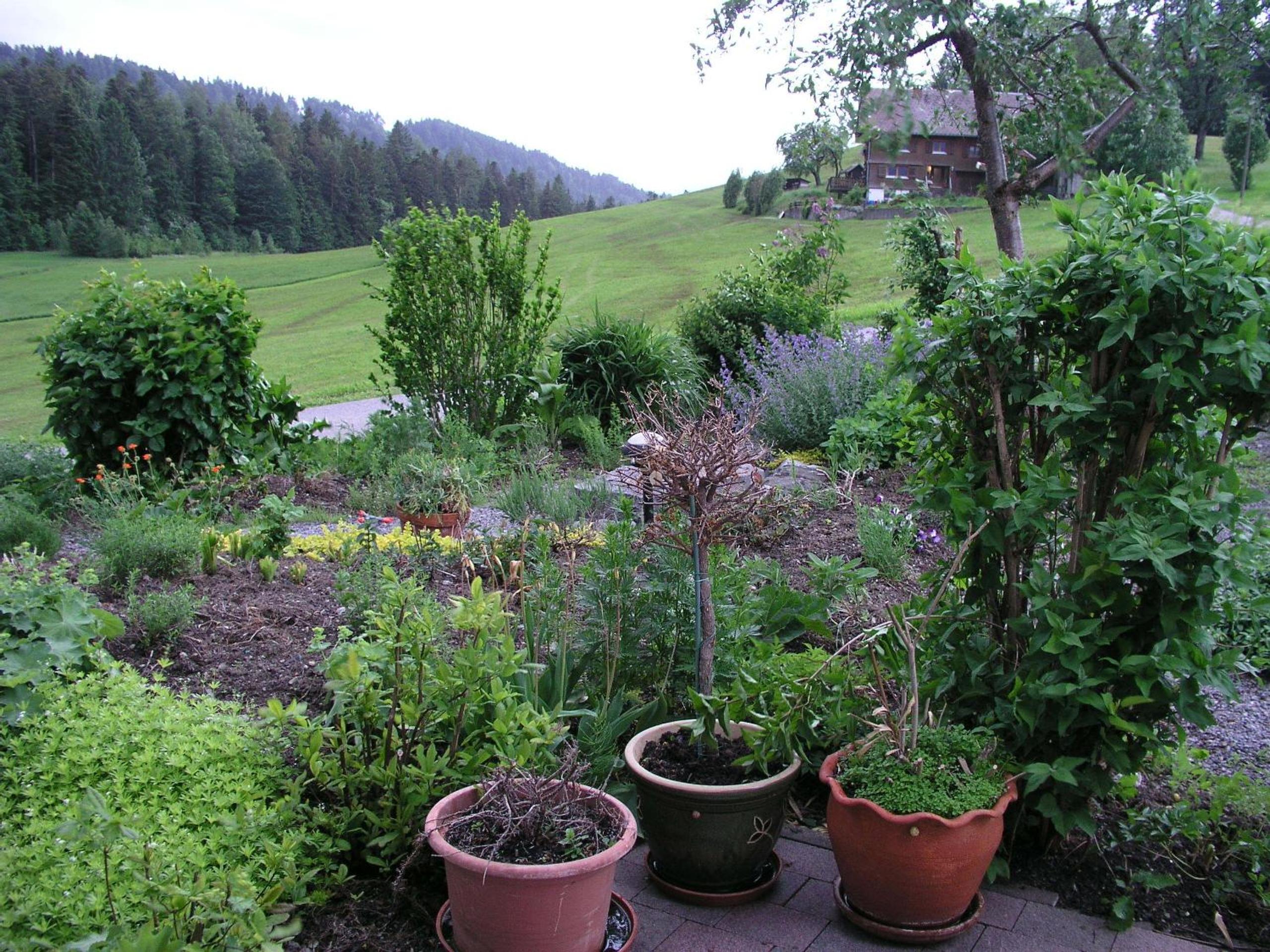 Photo 28