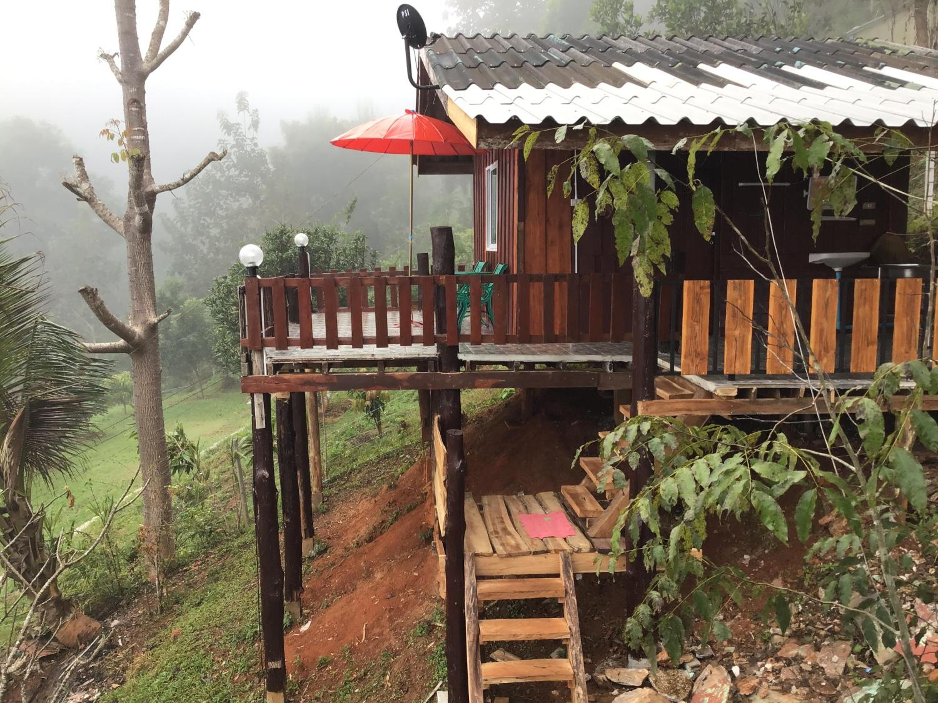 Forest Guesthouse