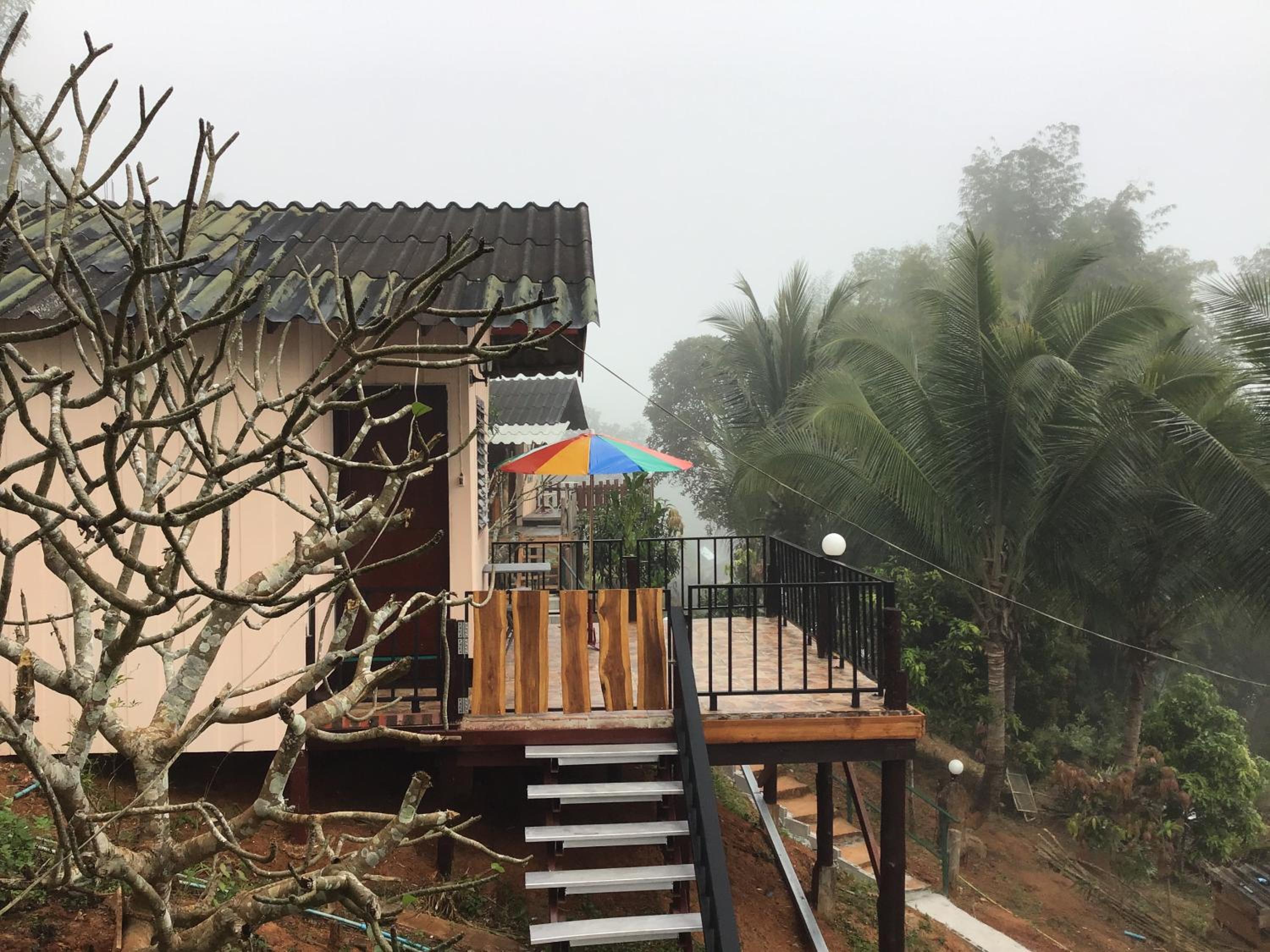 Forest Guesthouse