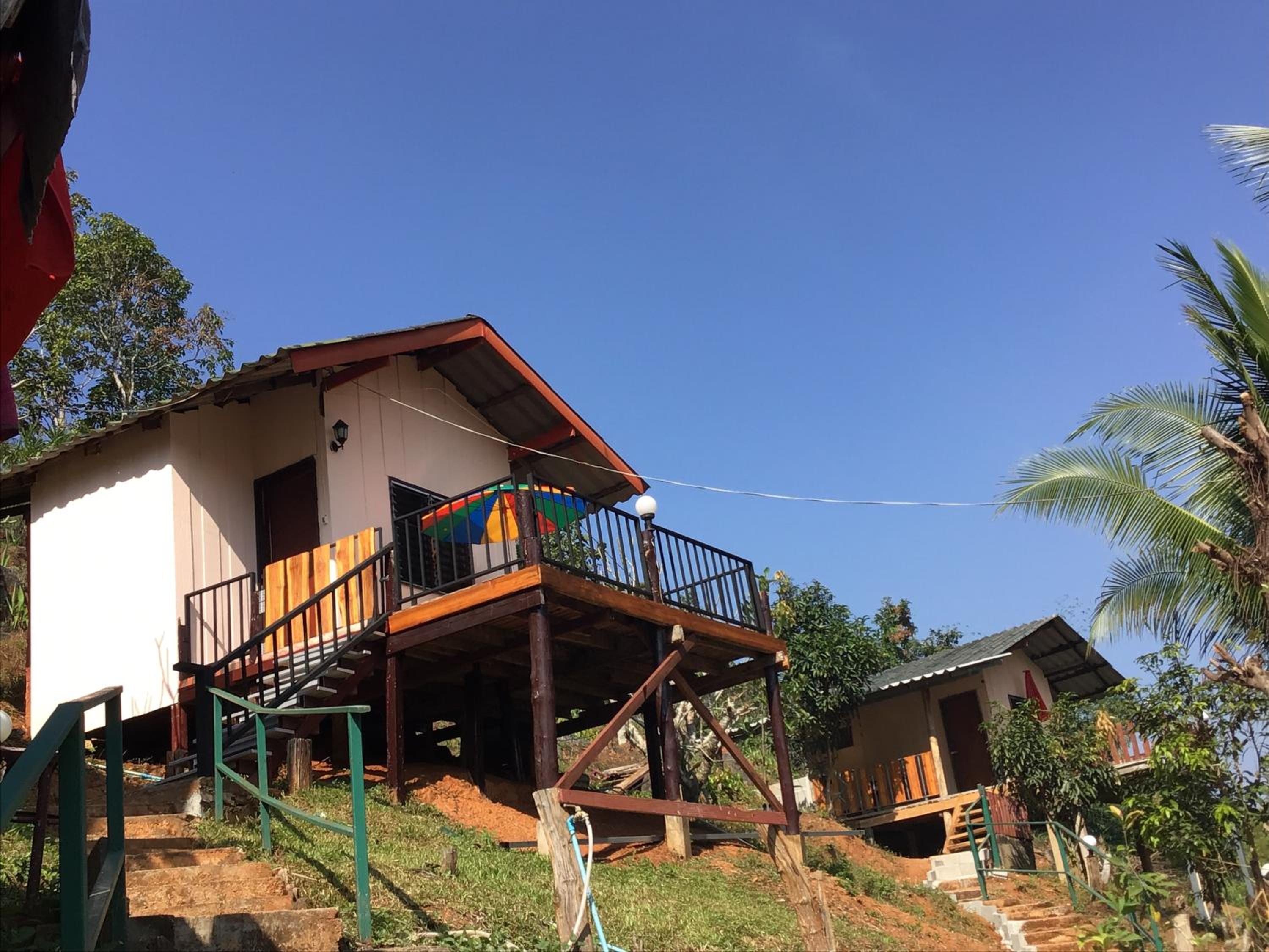 Forest Guesthouse