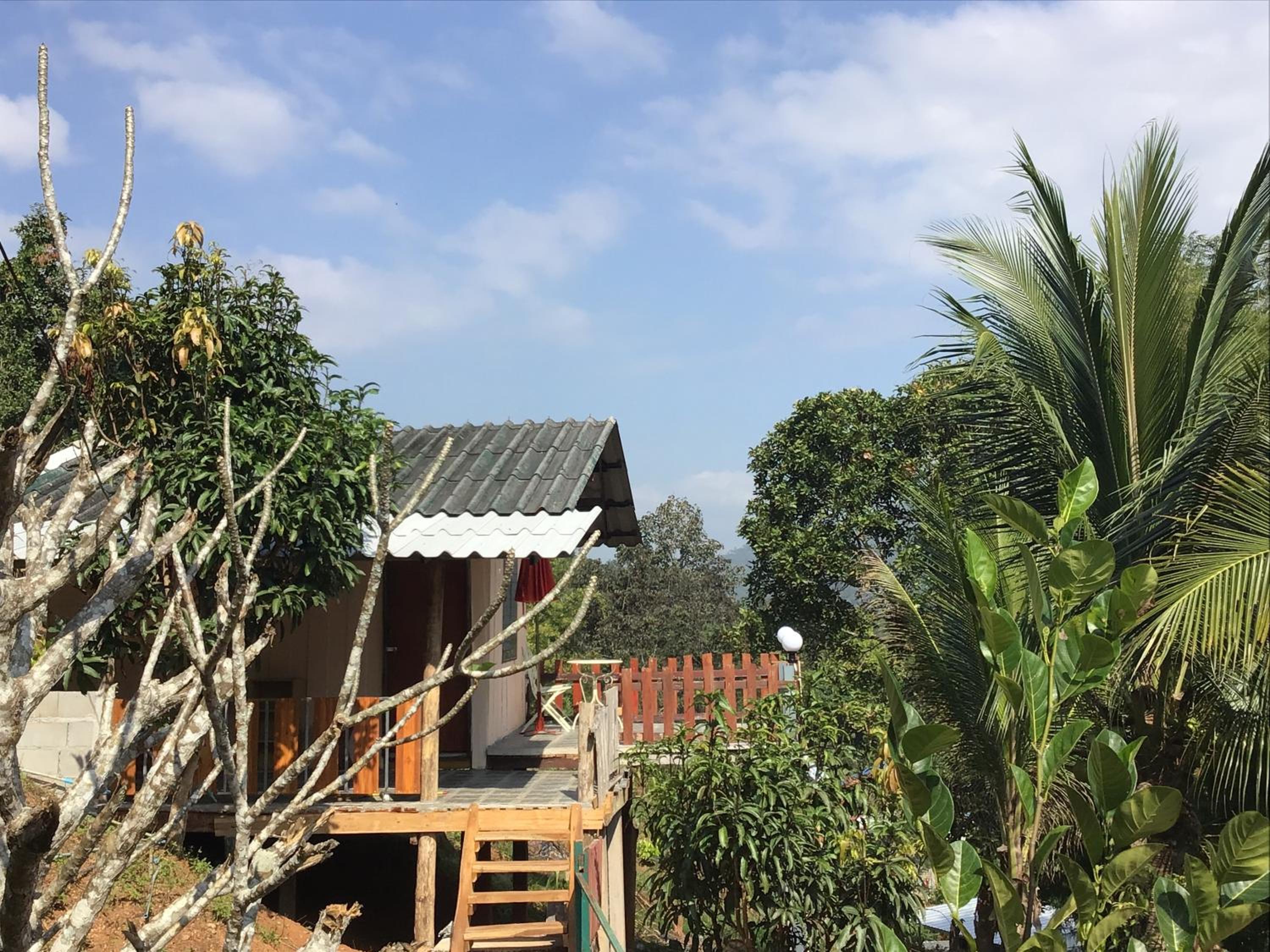 Forest Guesthouse