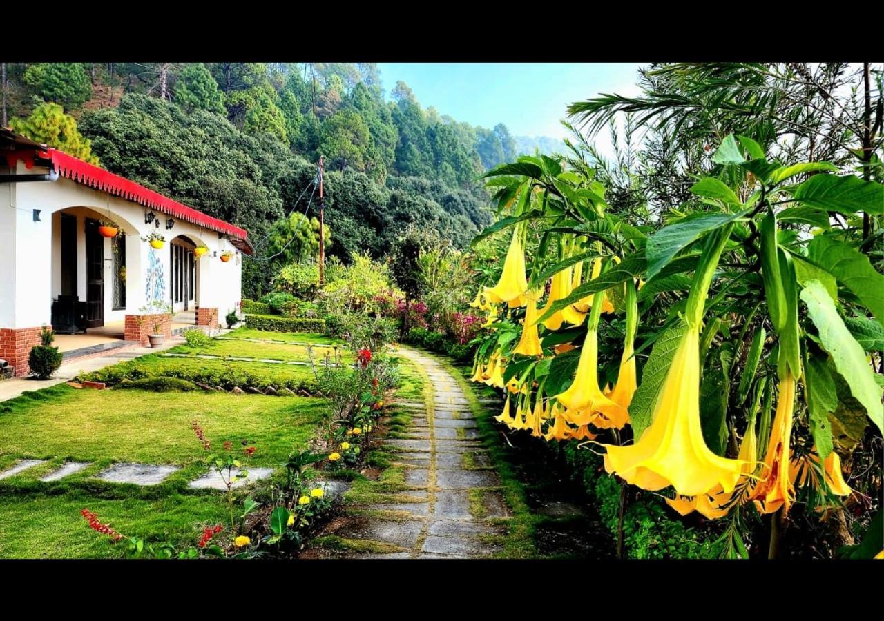 Photo 41