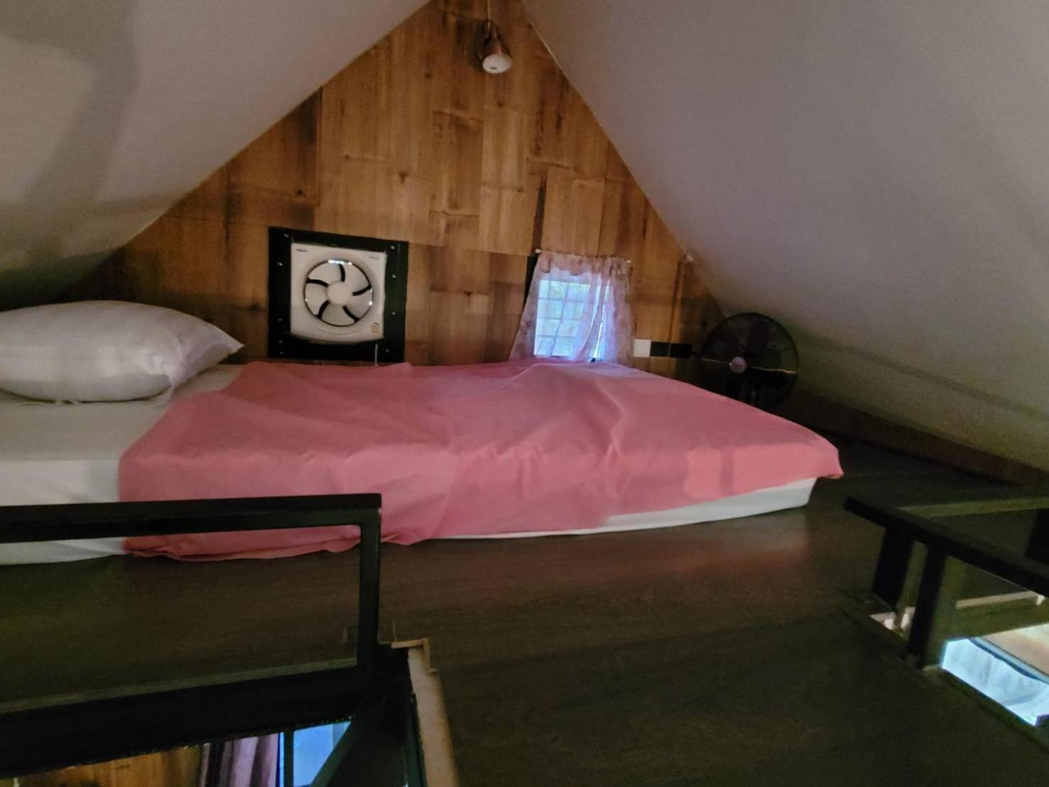 Photo 51