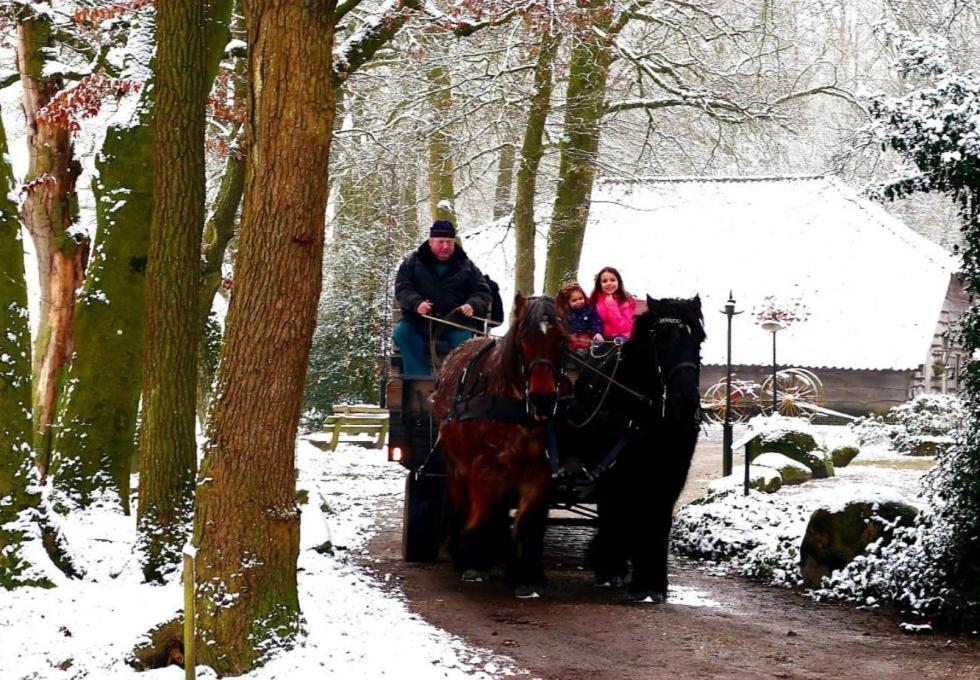 Hoeve Springendal