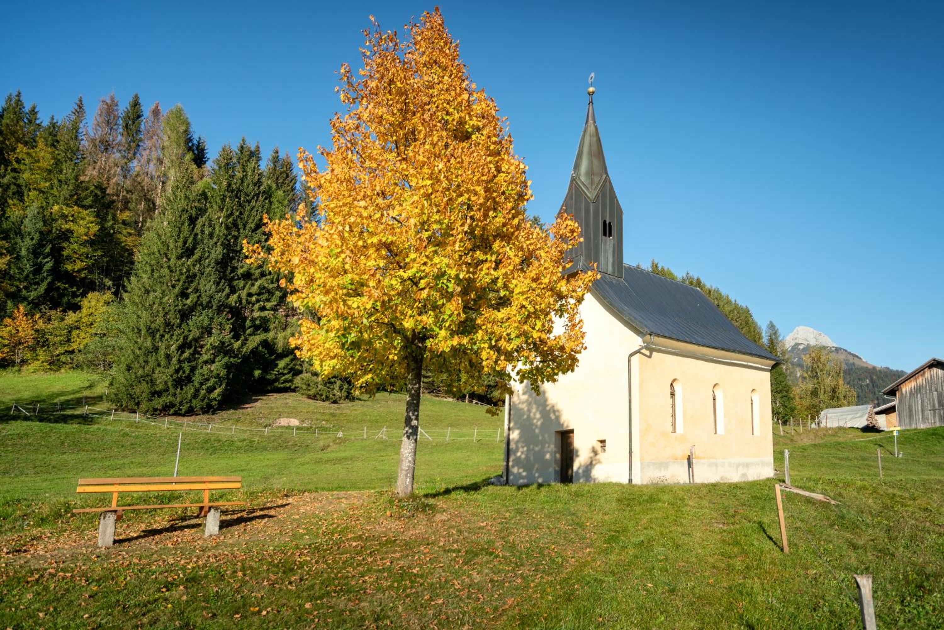 Hauserhof am Goldberg