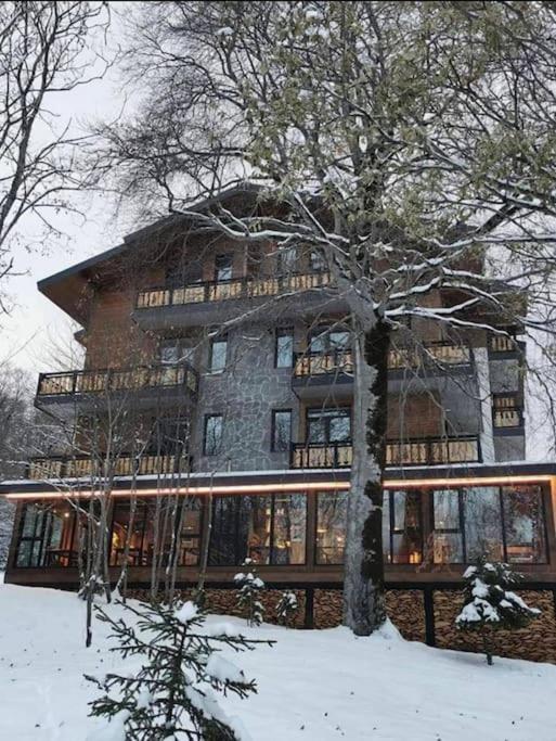 RESIDENCE DIDVELI IN BAKURIANI view 5