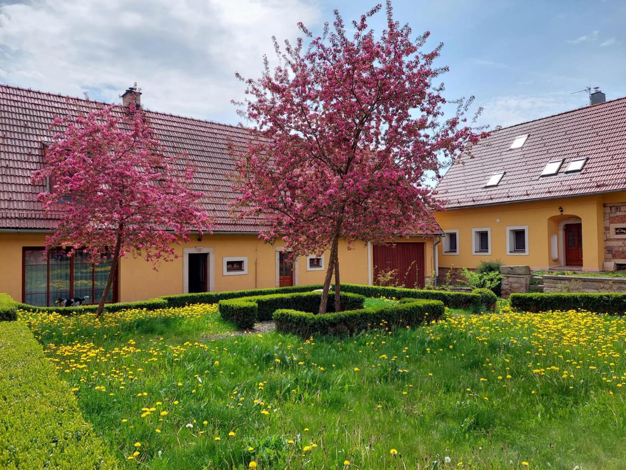 Martinkovice 201 Broumov