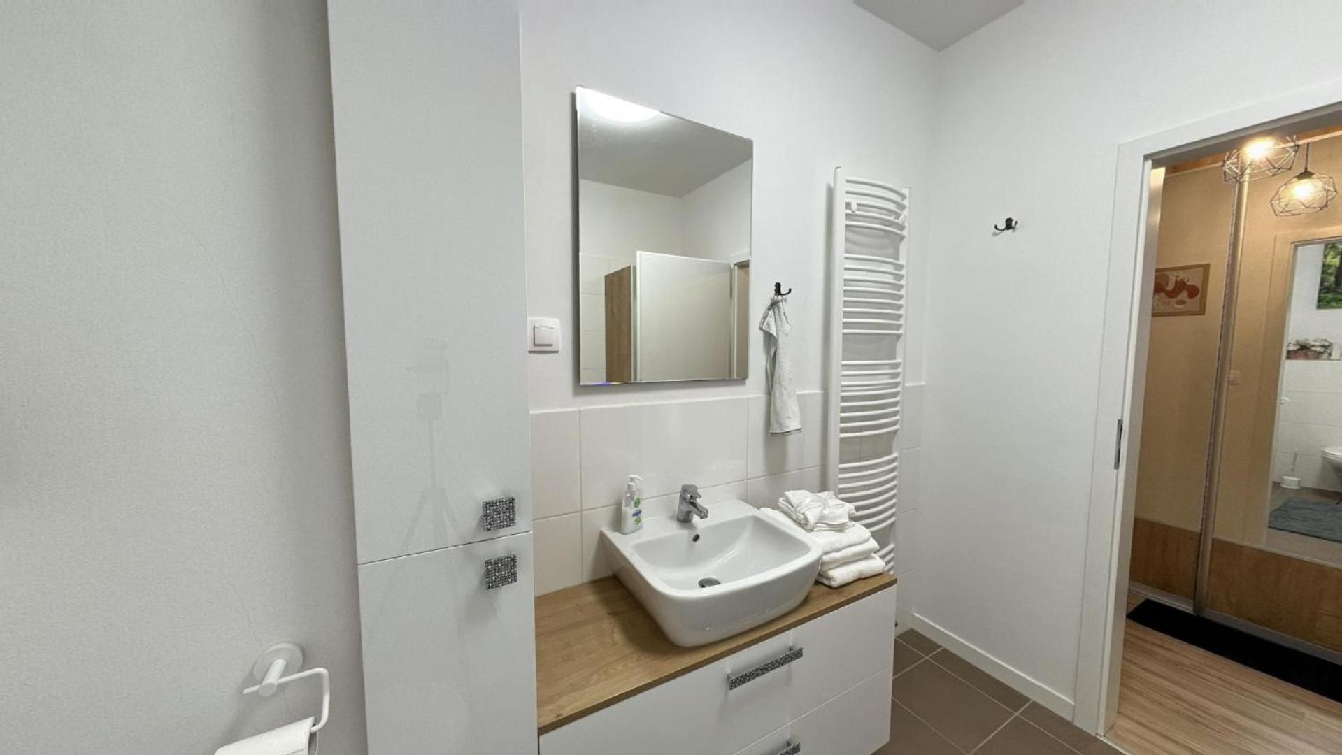 1 room Apartment with terrace, Petržalka view 4