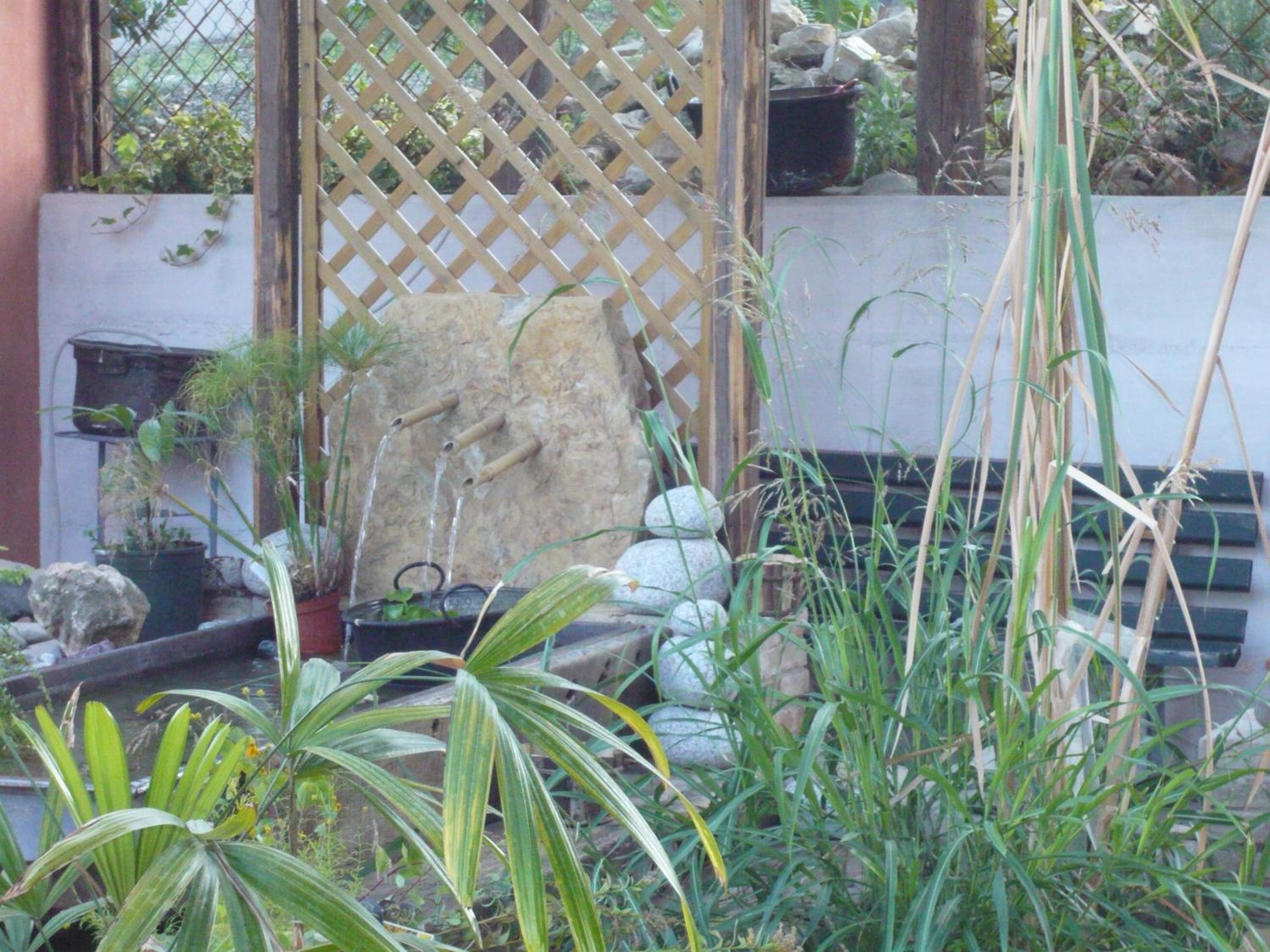Photo 42