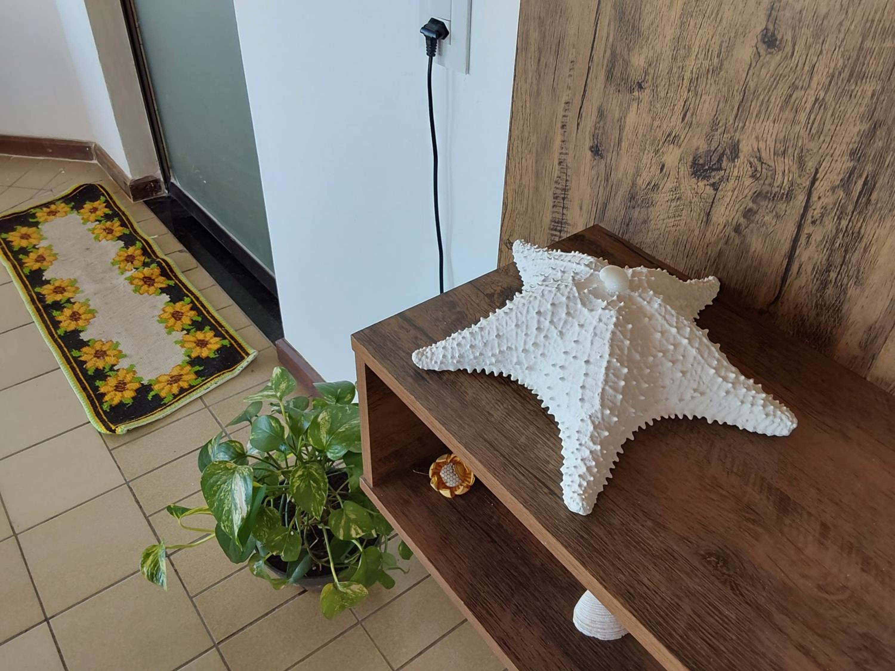Apartamento em Canasvieiras perto do mar