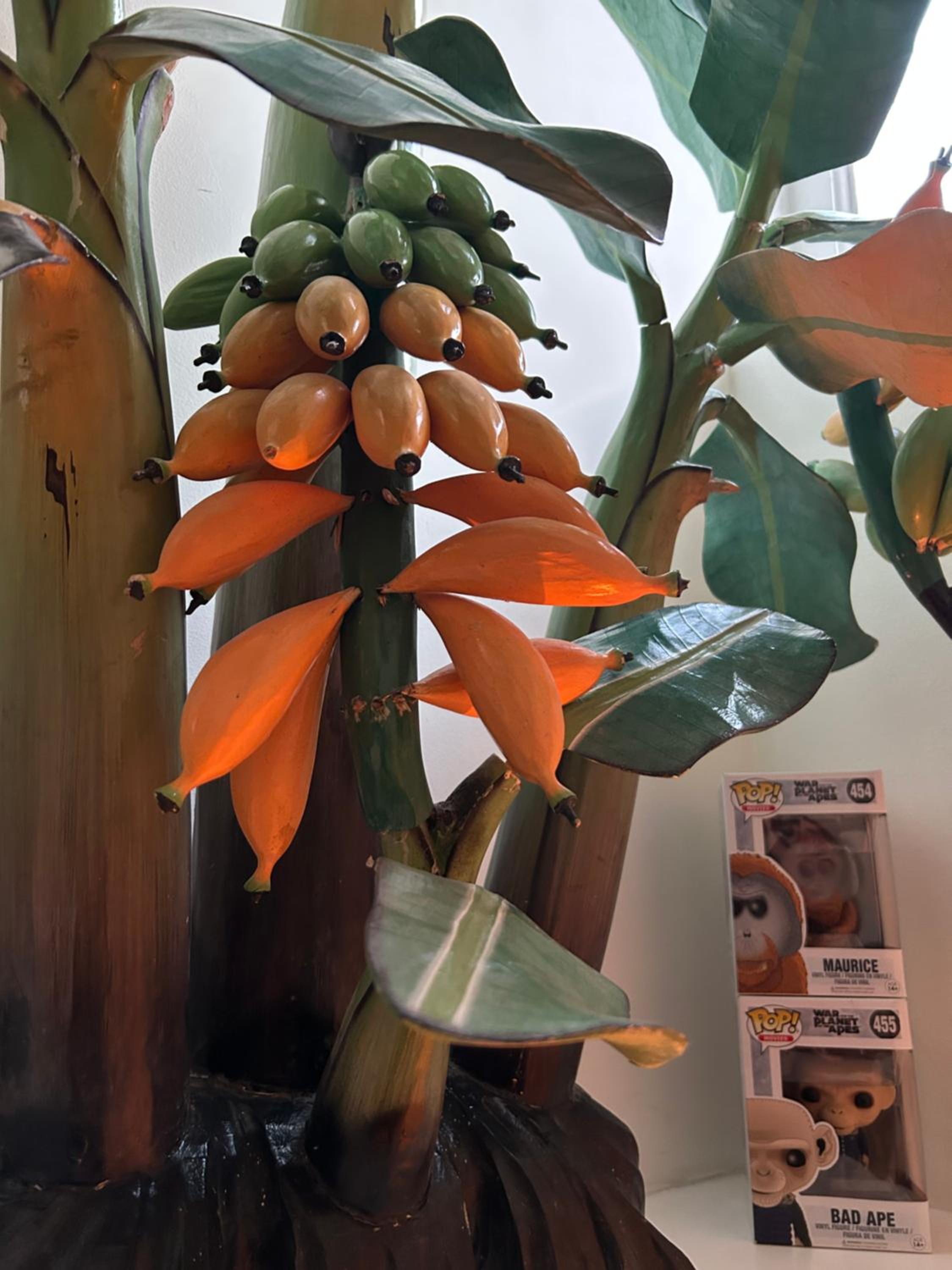 Monkey Tree Stay view 4