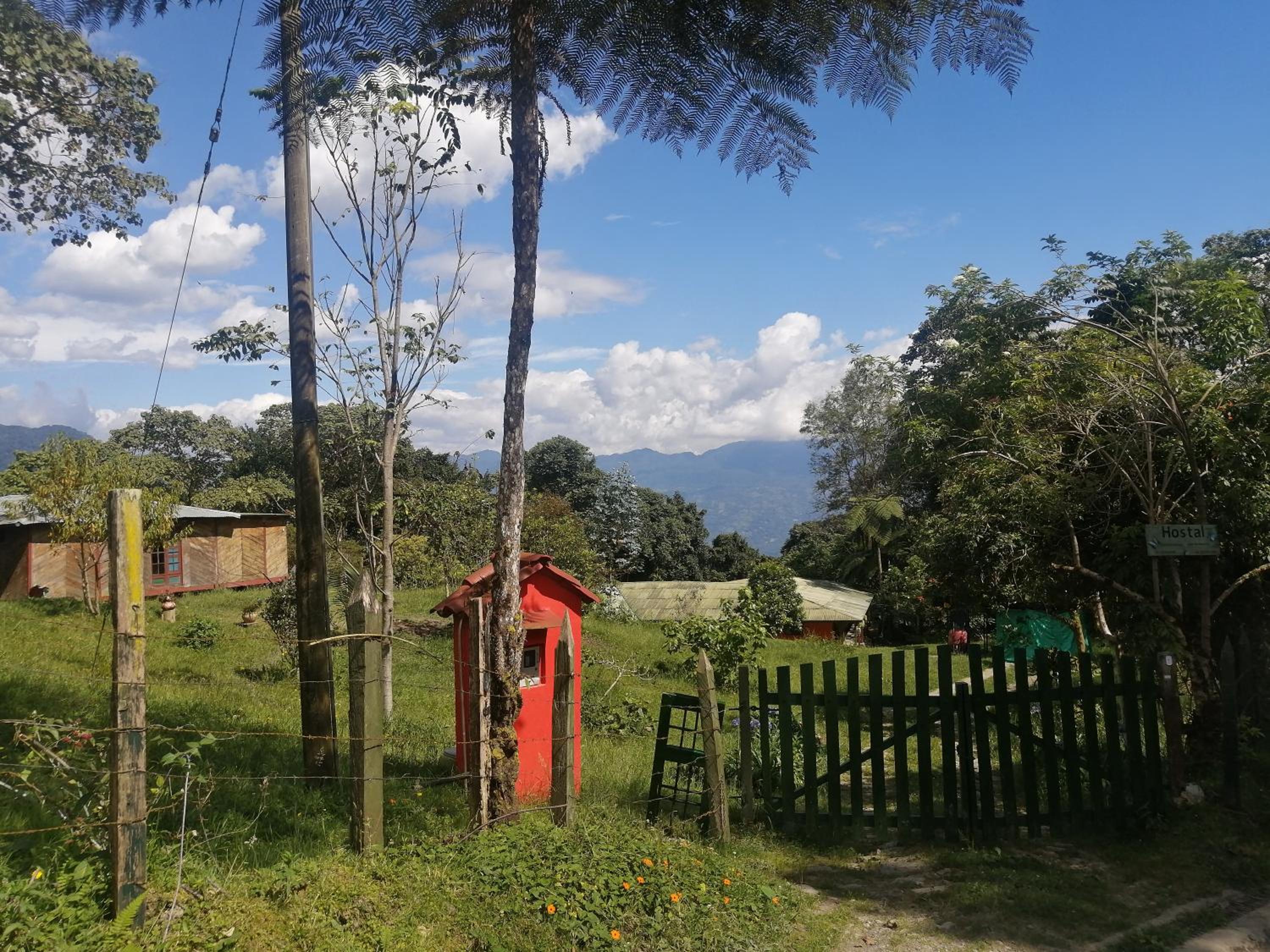 Nuestro Bosque I