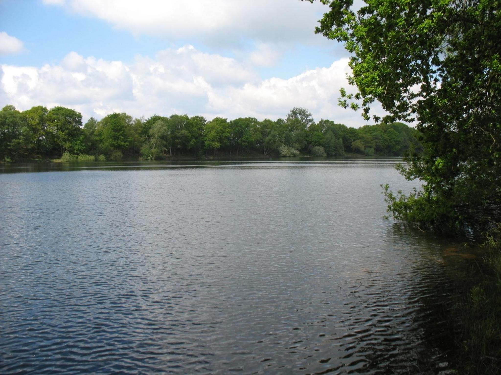 Photo 20