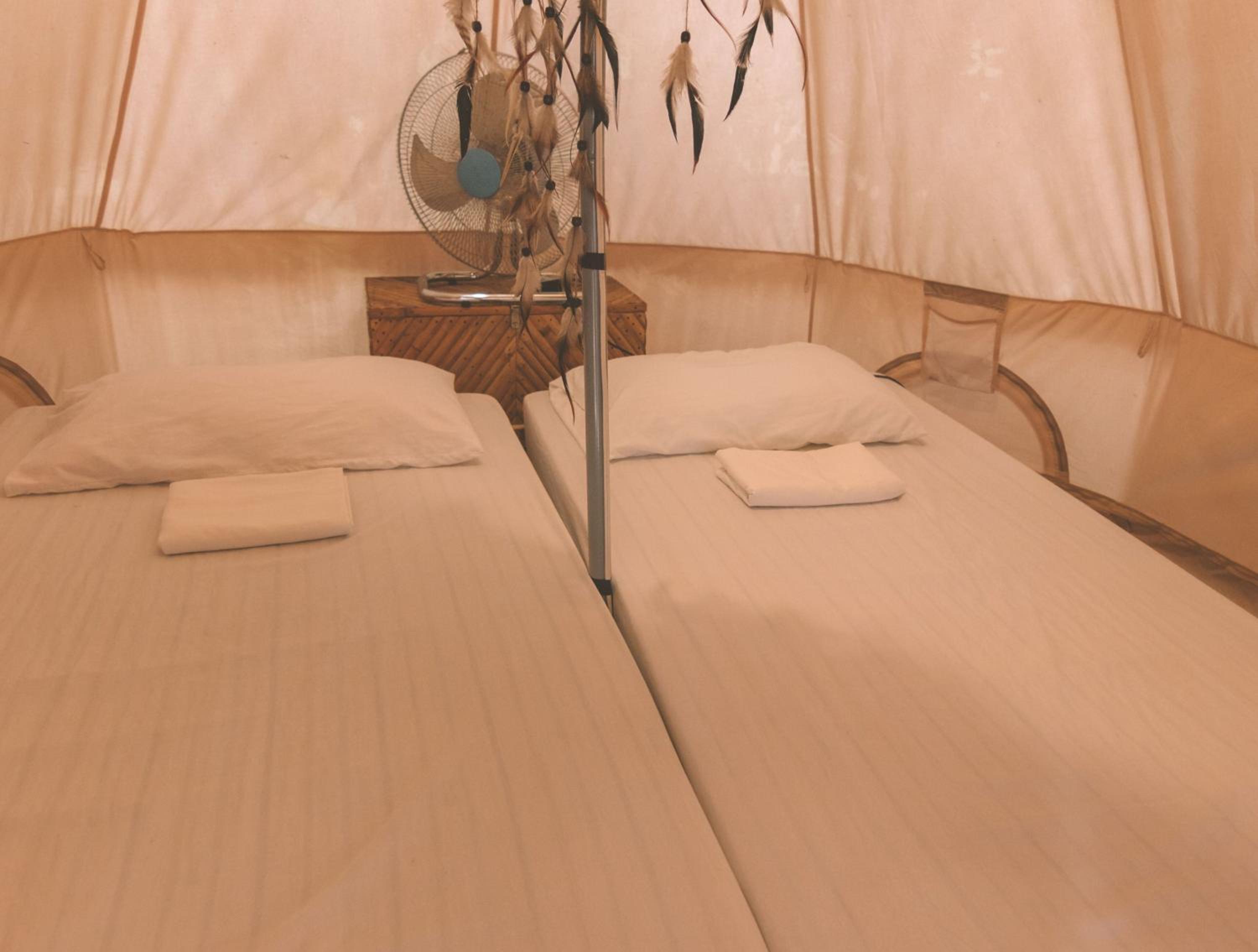 Mad Monkey Hostel Nacpan Beach — photo 109