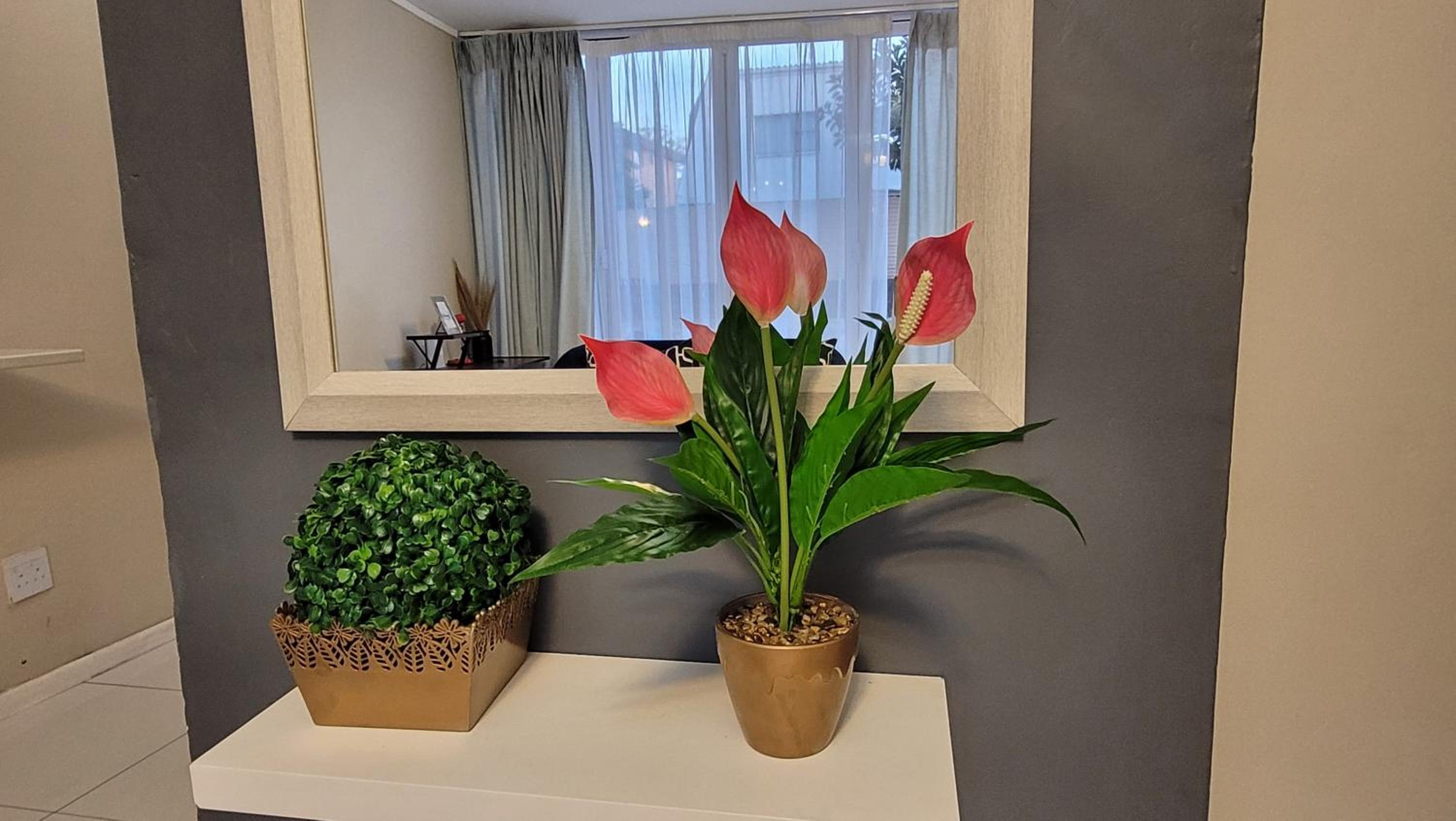 Effortless Self Catering Accommodation view 5