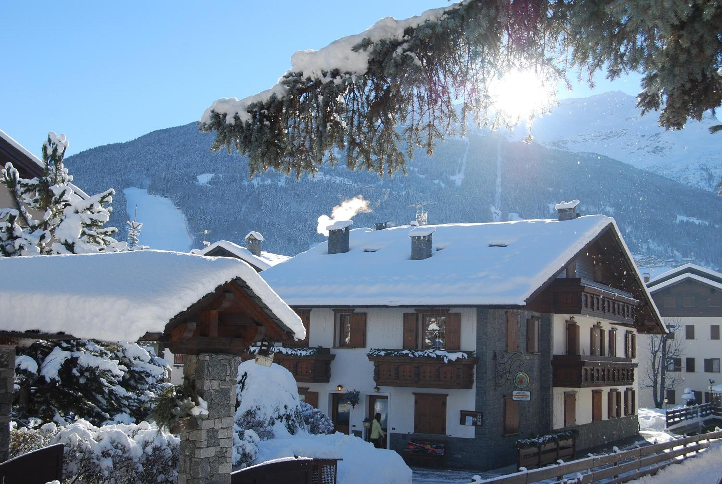 Chalet Gardenia photo 2