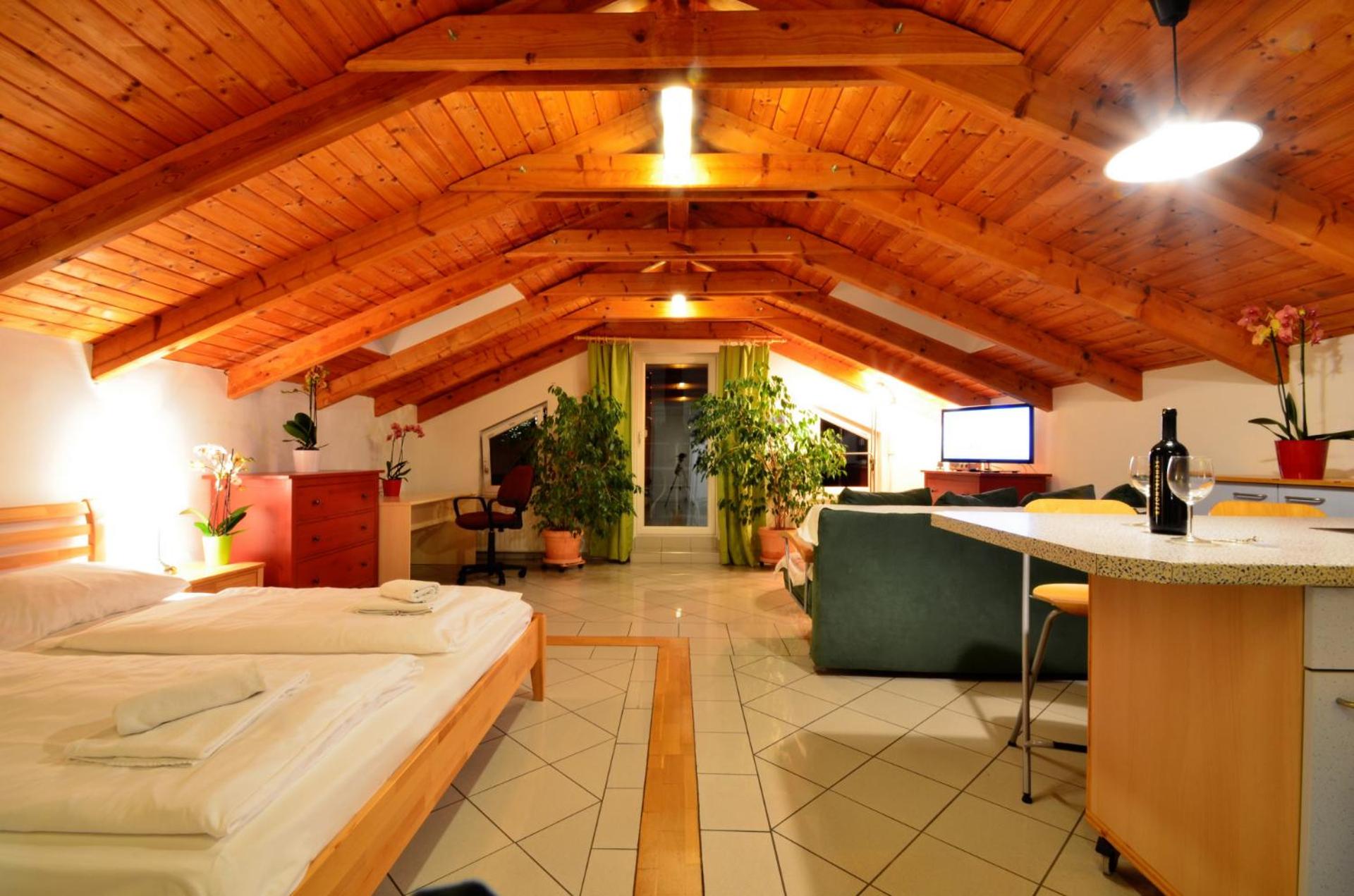 AJO Apartments - Alte Donau Lake View Penthouse - Self-Check-in