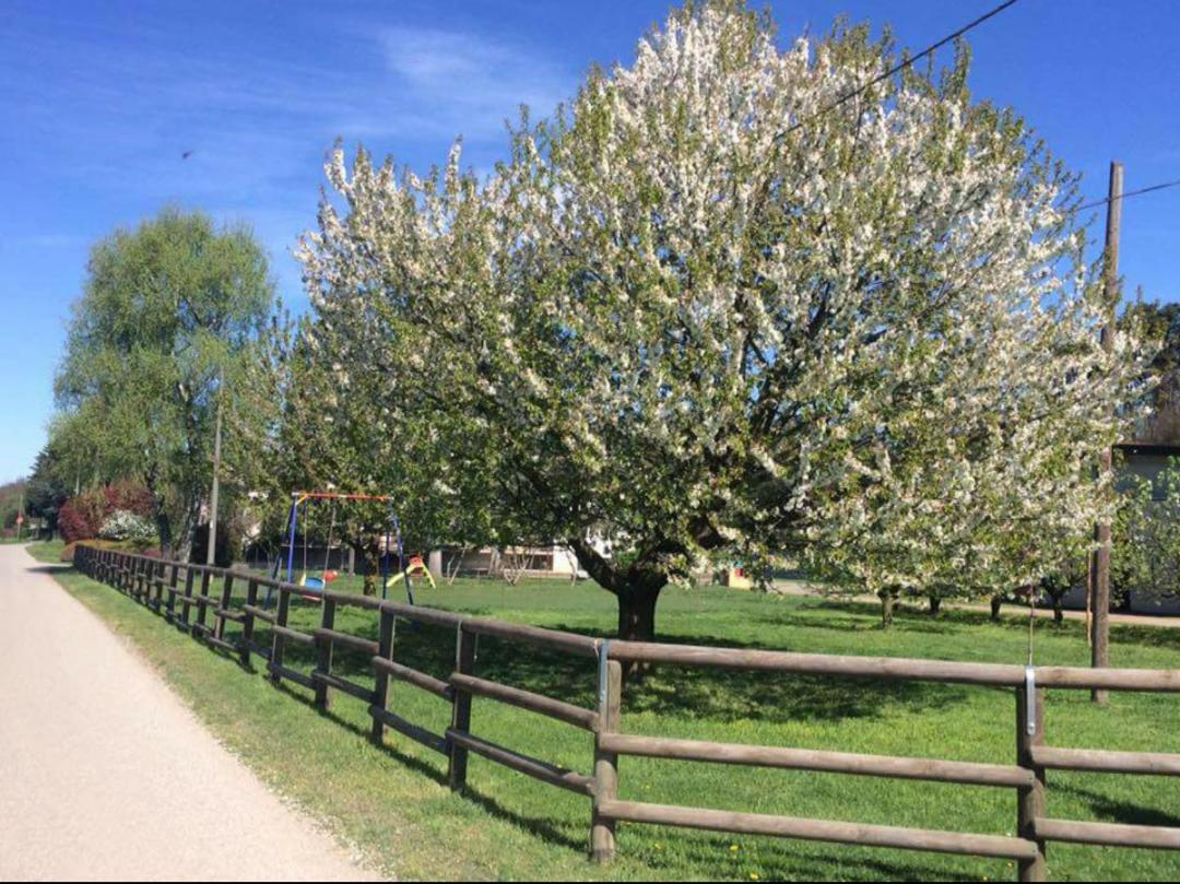 Azienda agrituristica Scotti