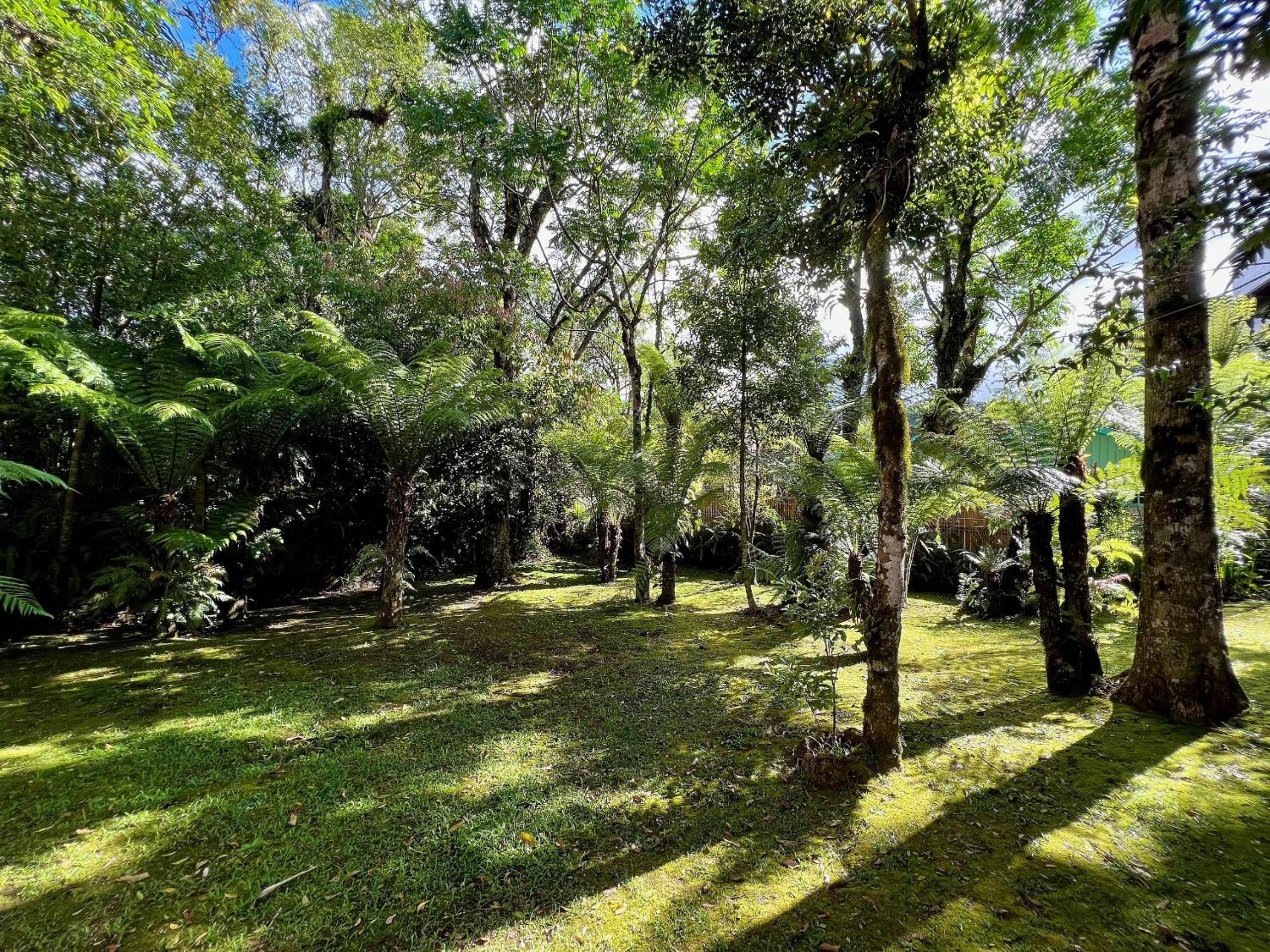 Com a natureza no Centro by Achei Gramado