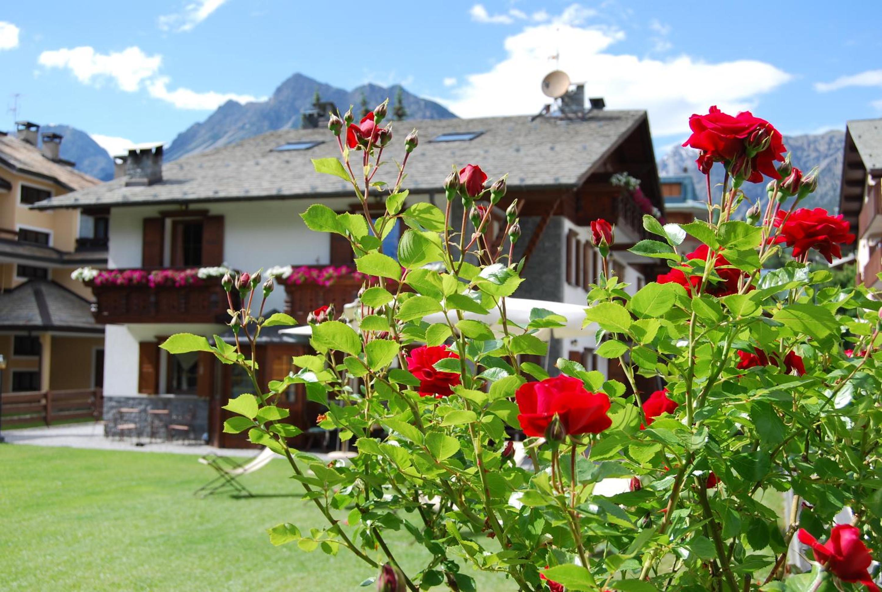 Chalet Gardenia