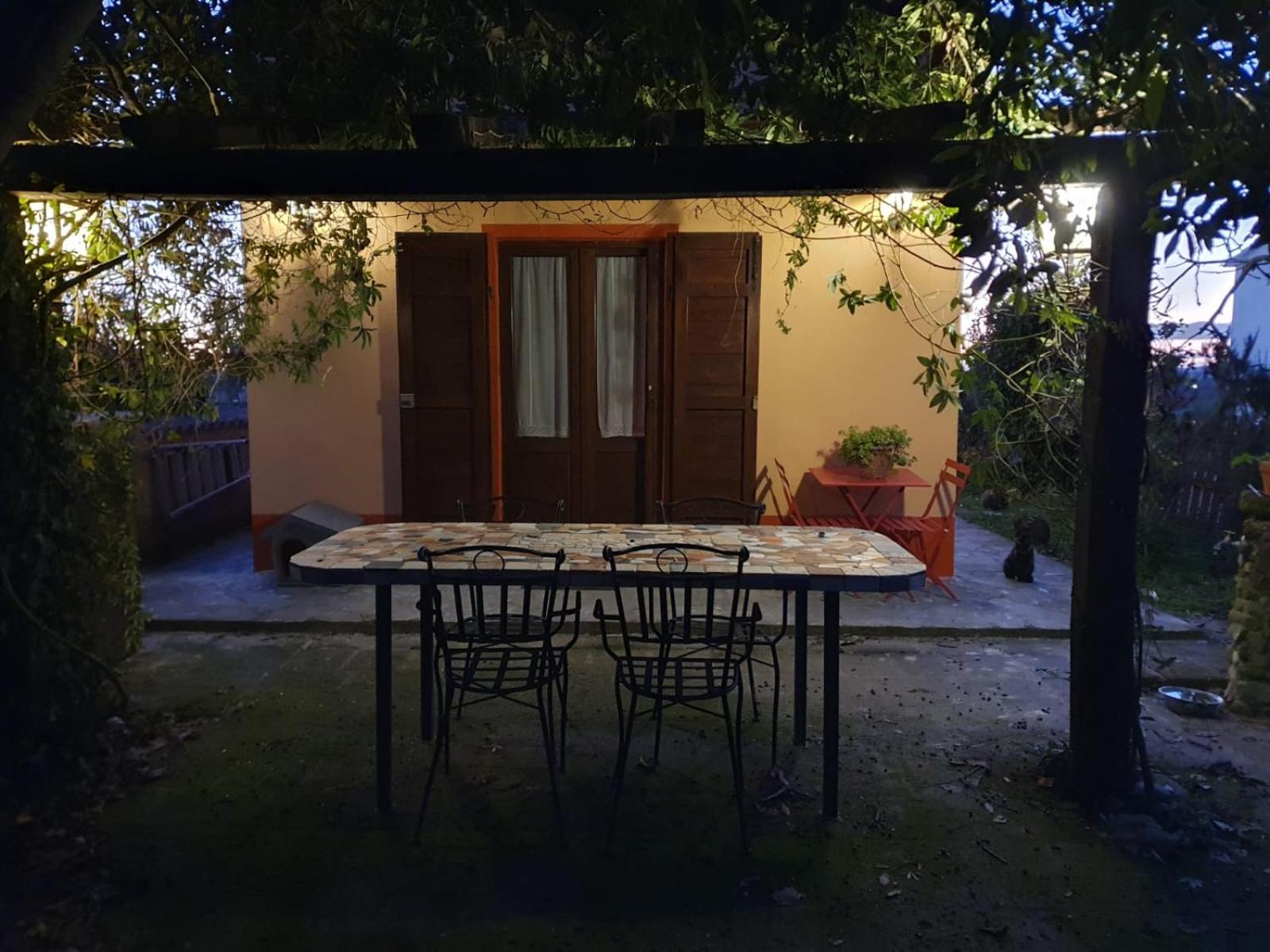 Photo 7