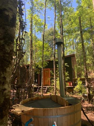 Cabañas Alegria Caburgua Pucon
