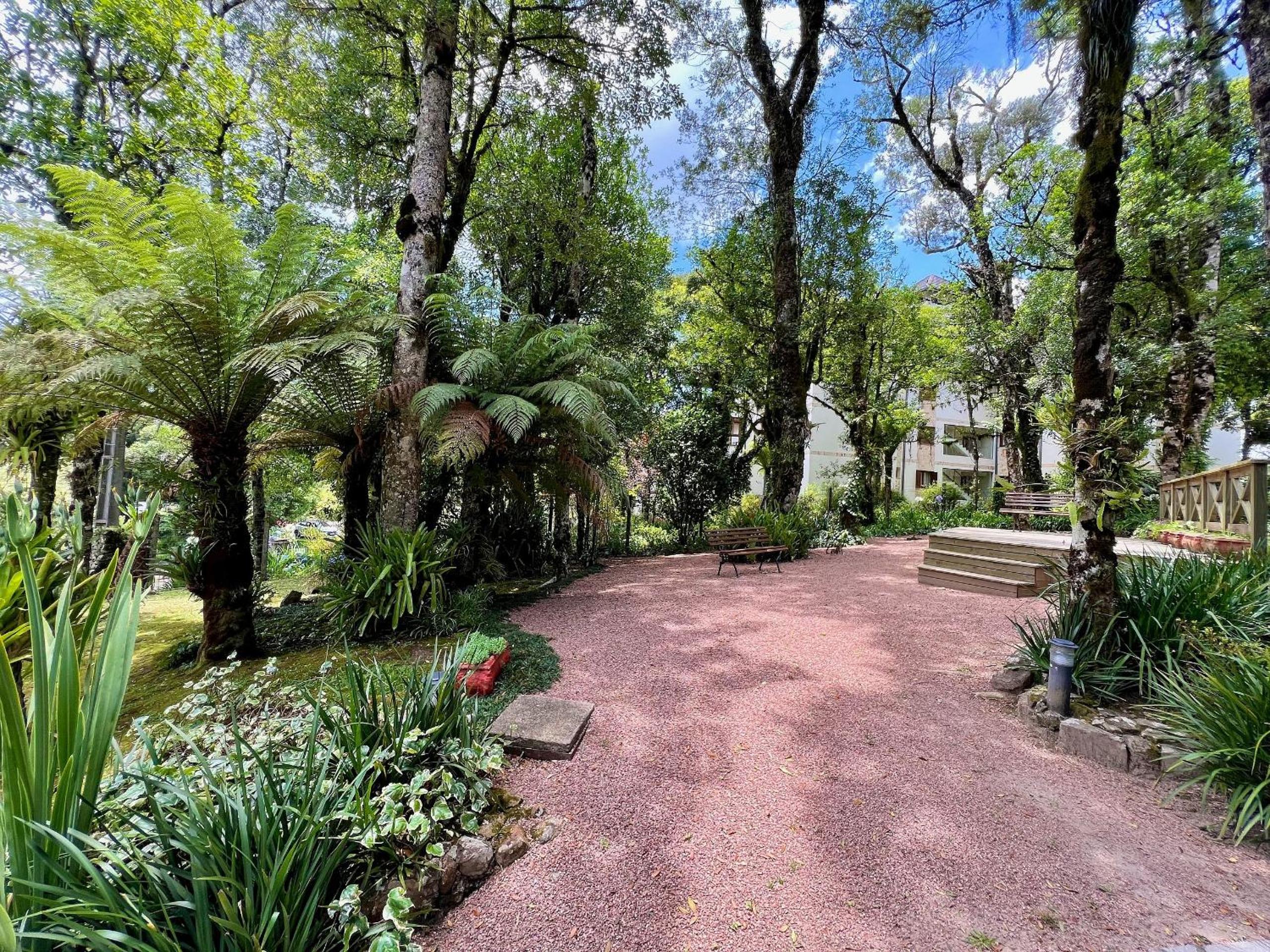 Apartamento Aroma da Serra 2 dorm by Achei Gramado
