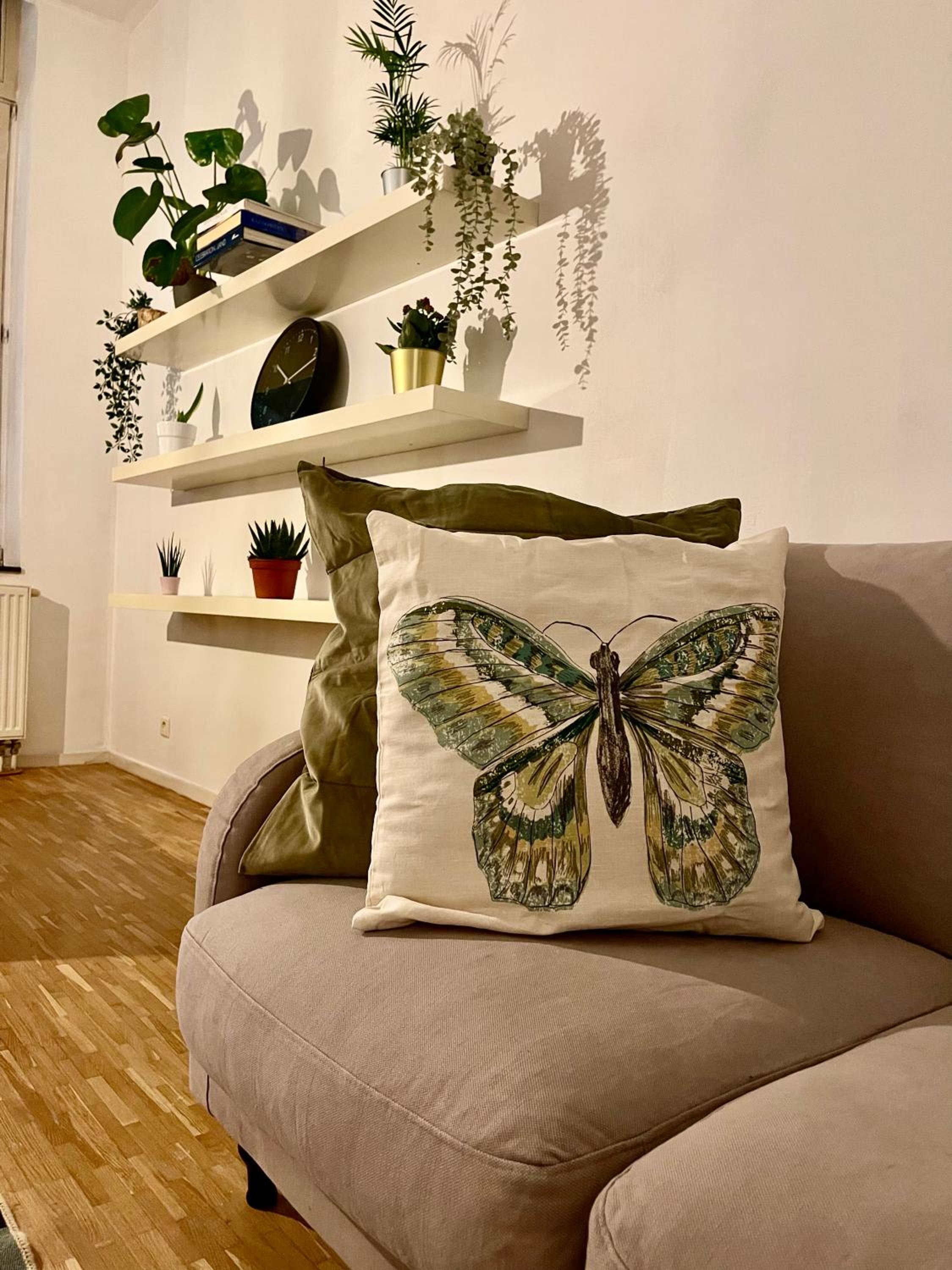 Down-Town 1 Bedroom Flat