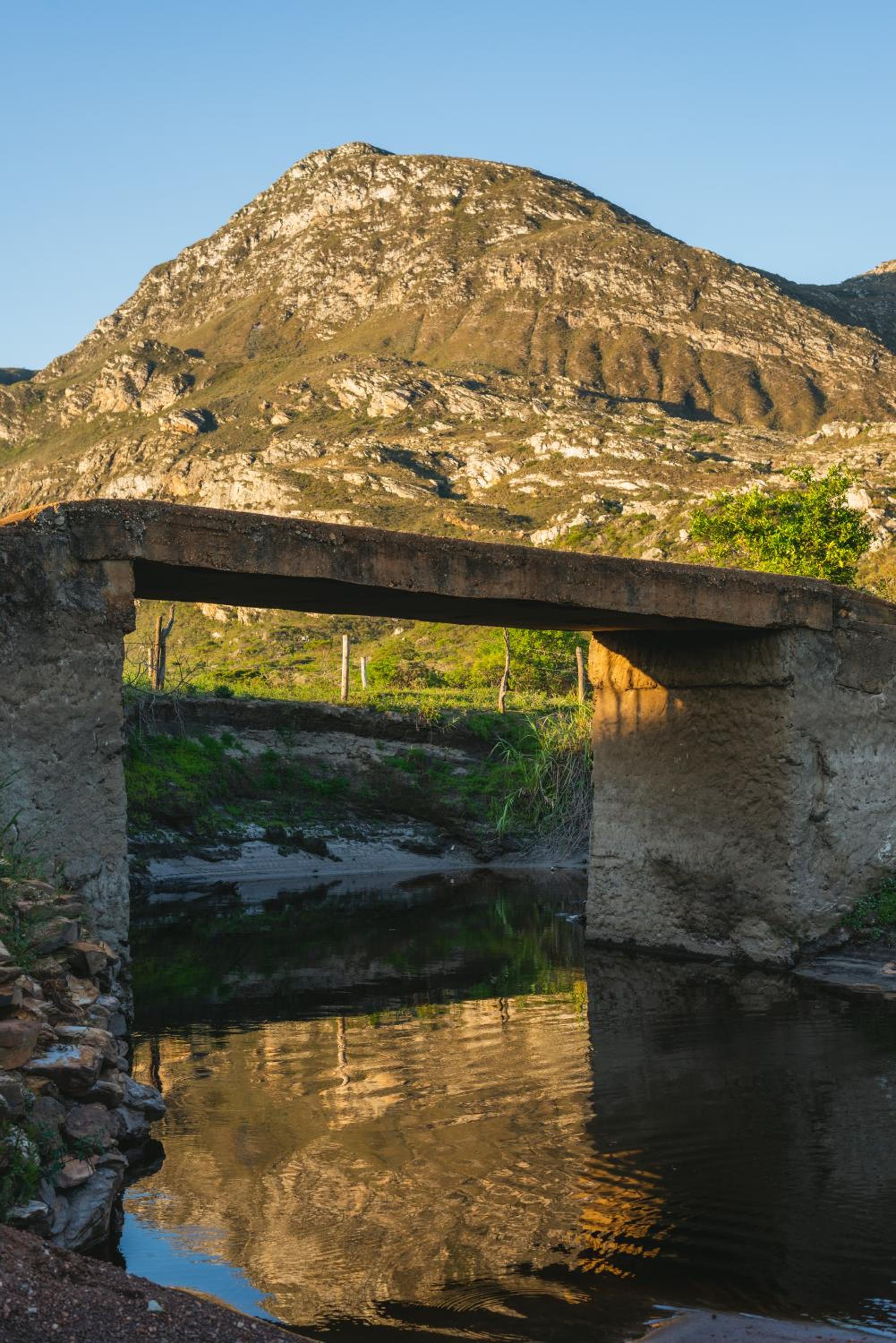 Photo 22